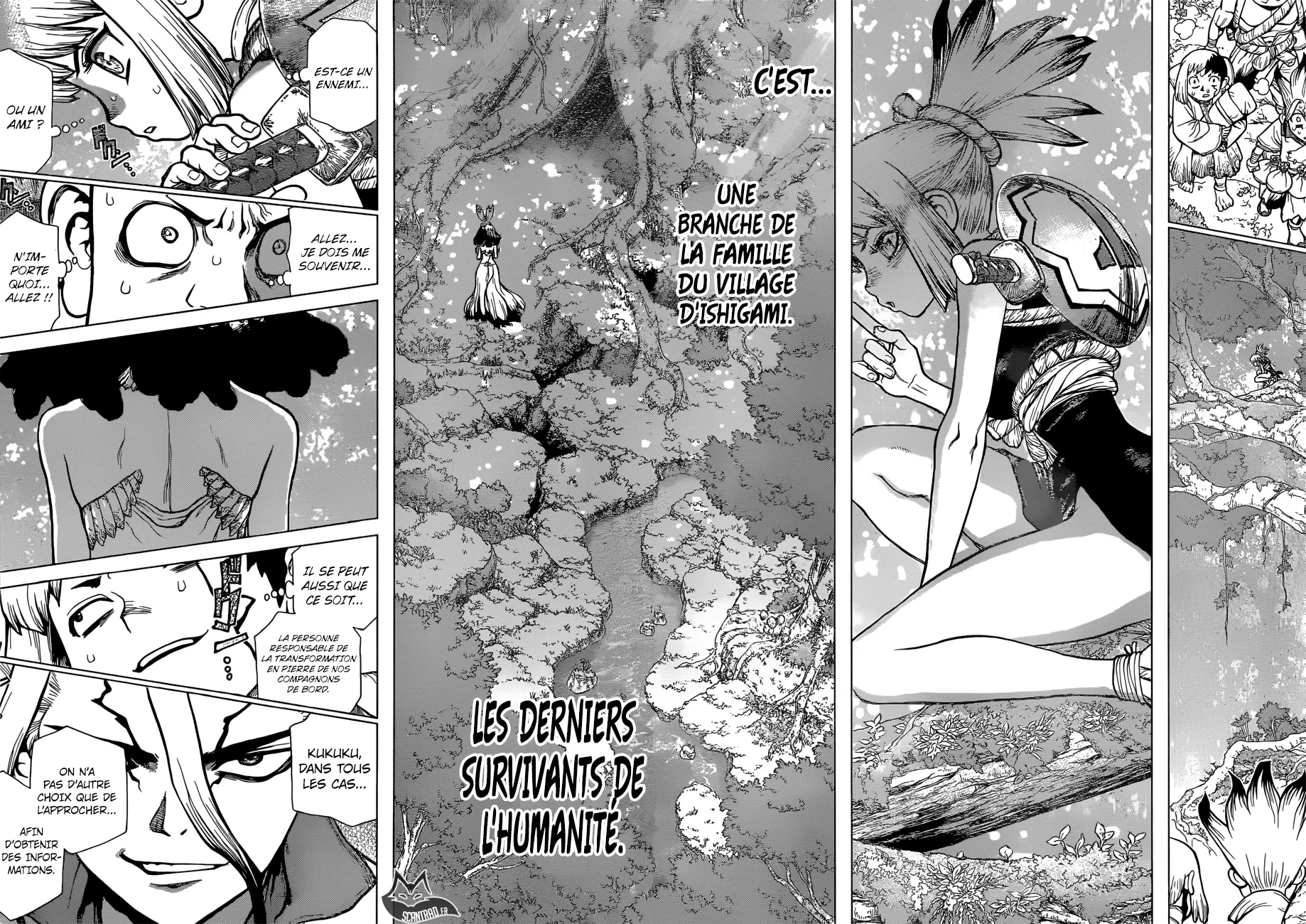 Read Dr. STONE FRANCAIS Manga Online