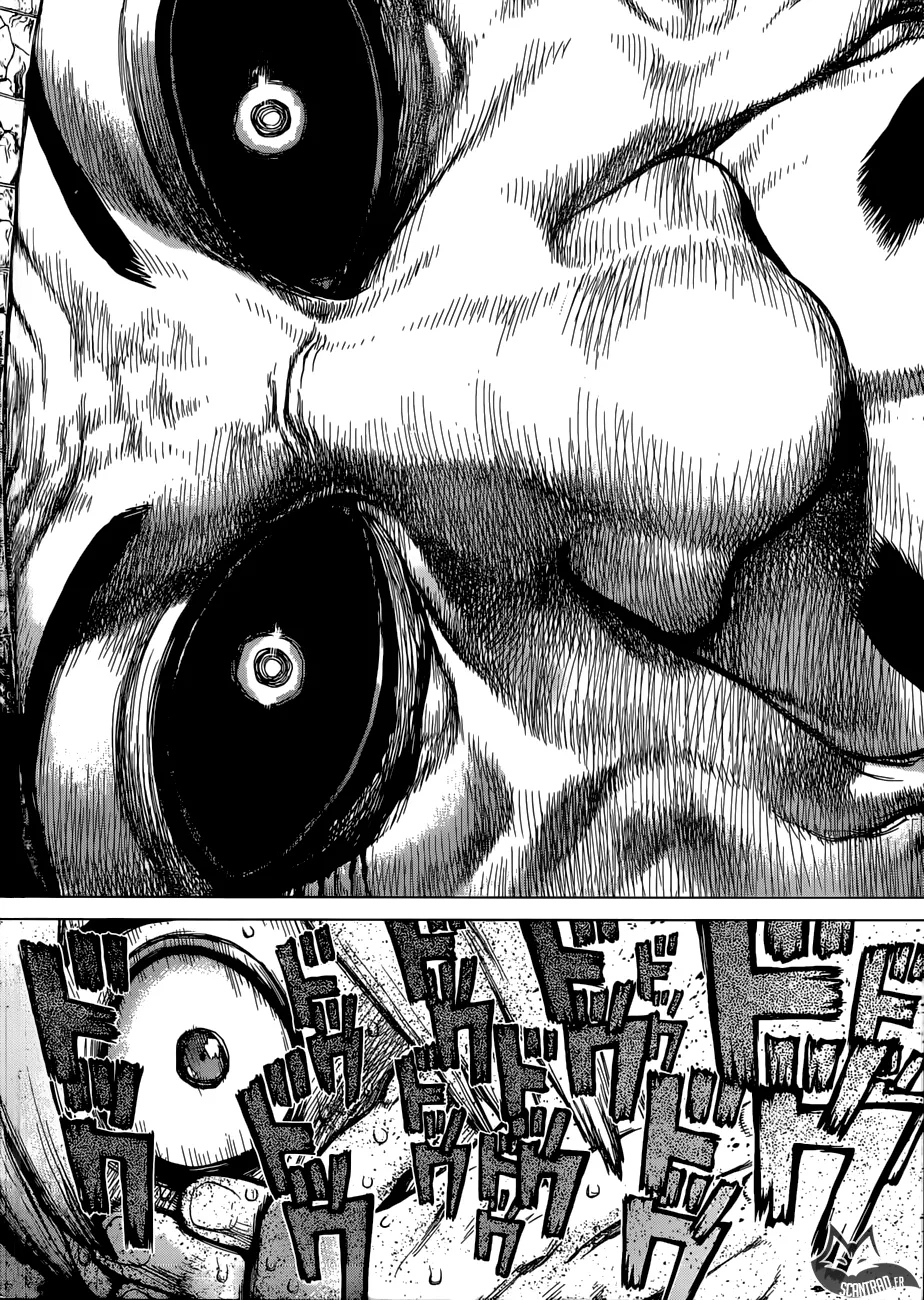 Read Dr. STONE FRANCAIS Manga Online