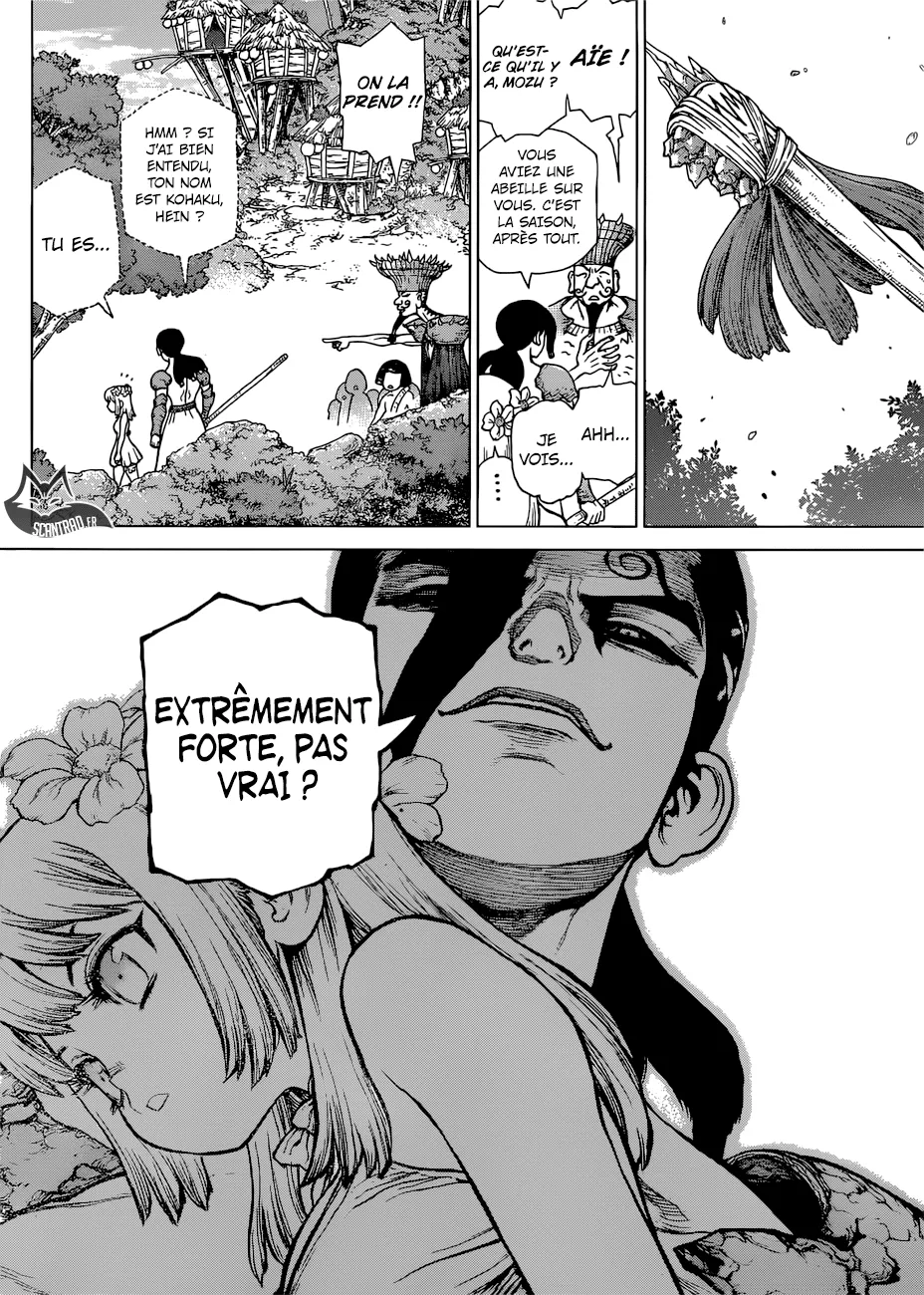 Read Dr. STONE FRANCAIS Manga Online
