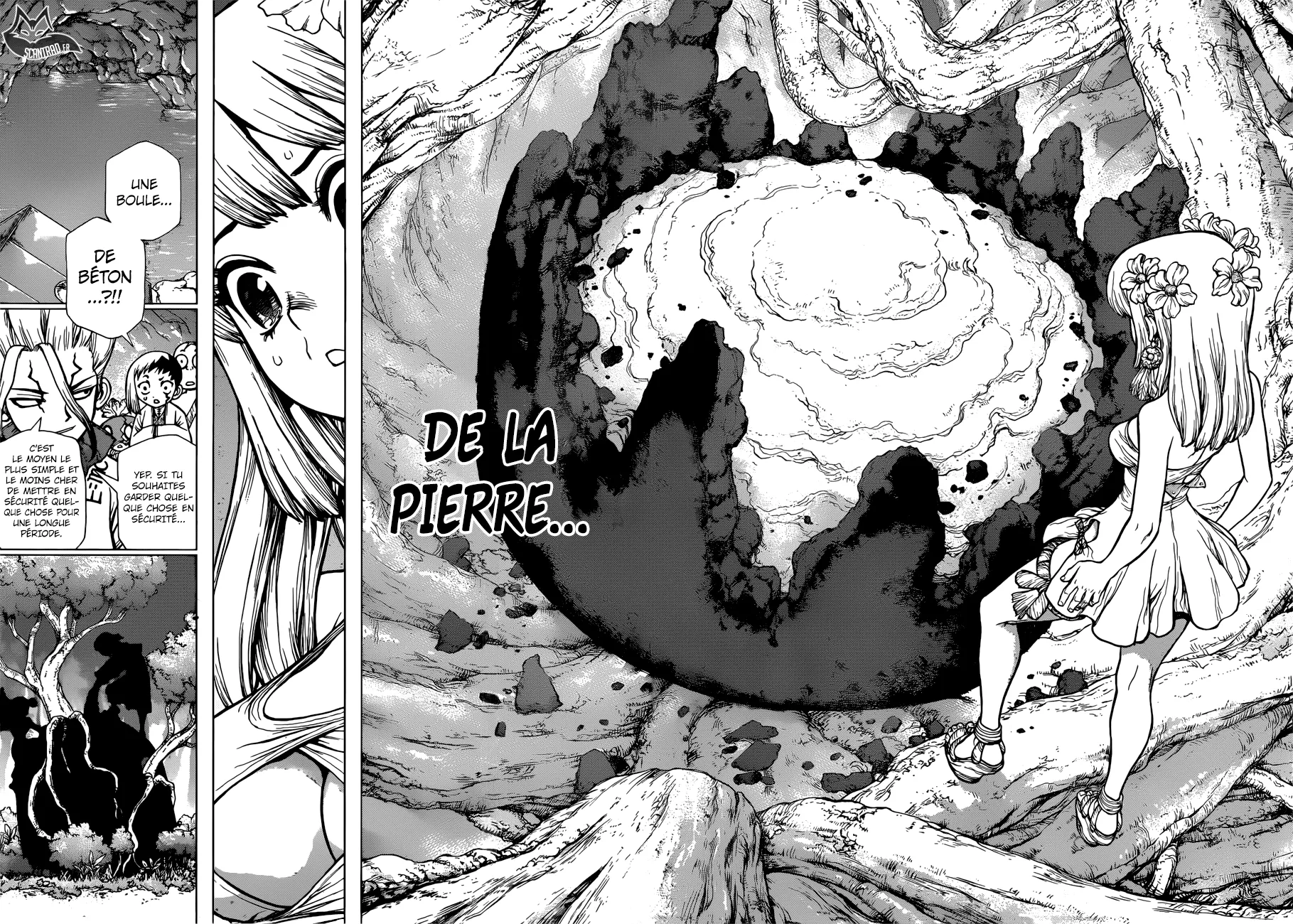 Read Dr. STONE FRANCAIS Manga Online
