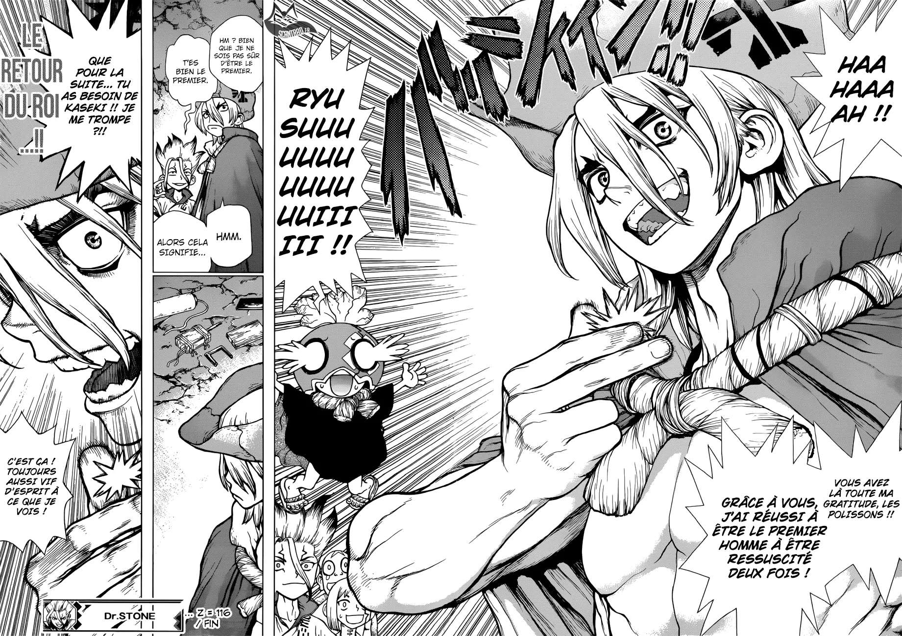 Read Dr. STONE FRANCAIS Manga Online