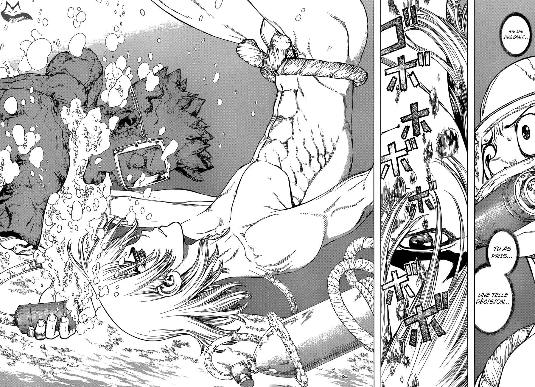 Read Dr. STONE FRANCAIS Manga Online