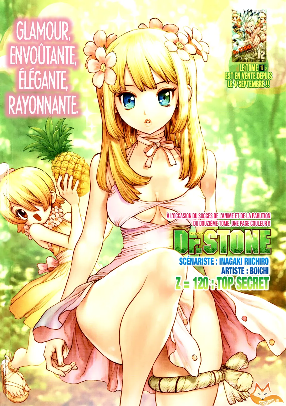 Read Dr. STONE FRANCAIS Manga Online