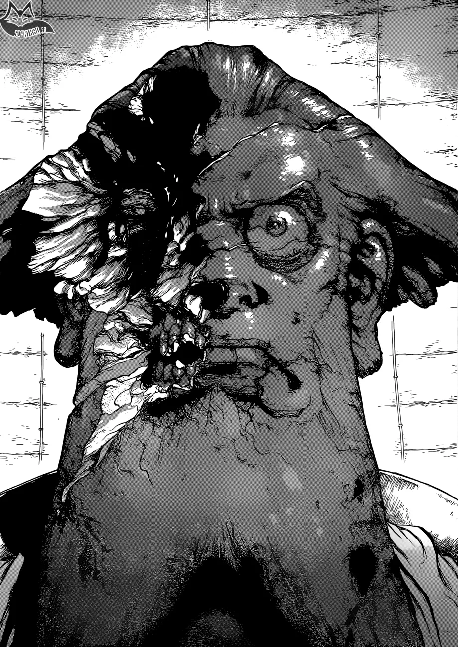 Read Dr. STONE FRANCAIS Manga Online