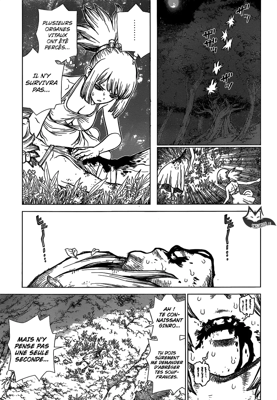 Read Dr. STONE FRANCAIS Manga Online