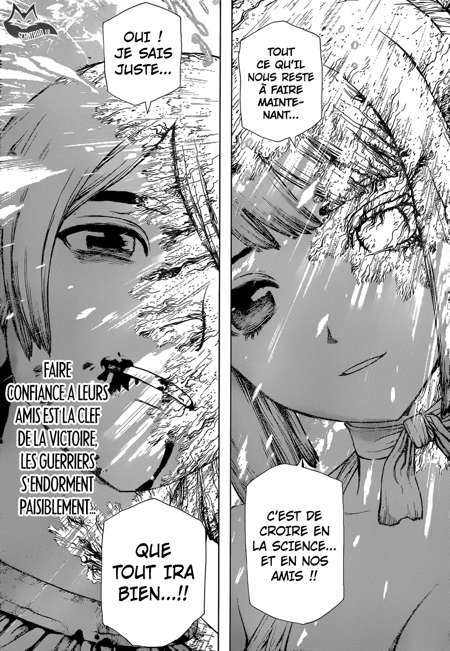 Read Dr. STONE FRANCAIS Manga Online