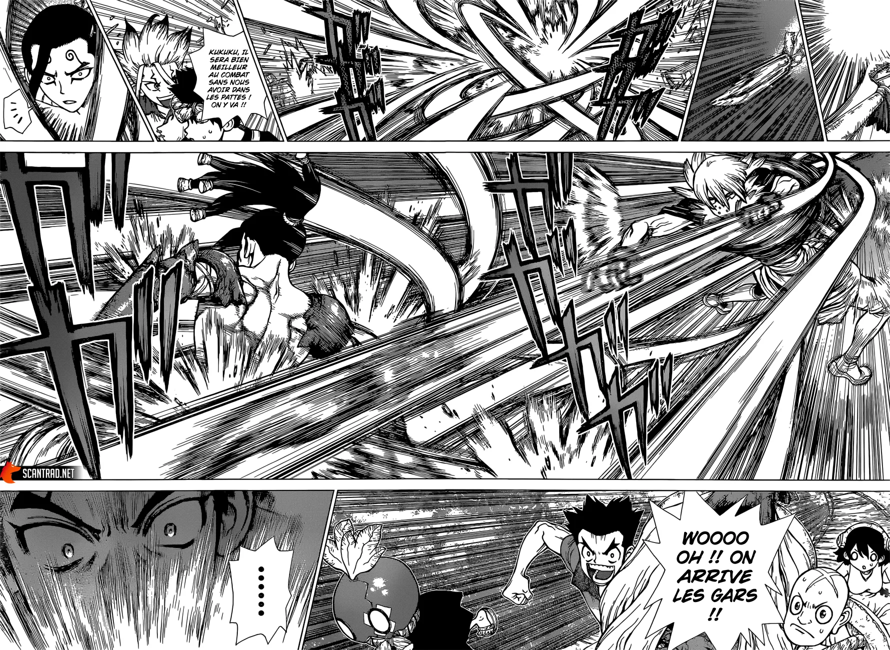 Read Dr. STONE FRANCAIS Manga Online