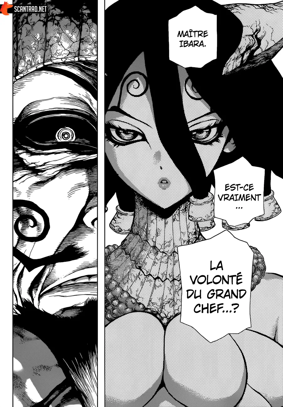 Read Dr. STONE FRANCAIS Manga Online