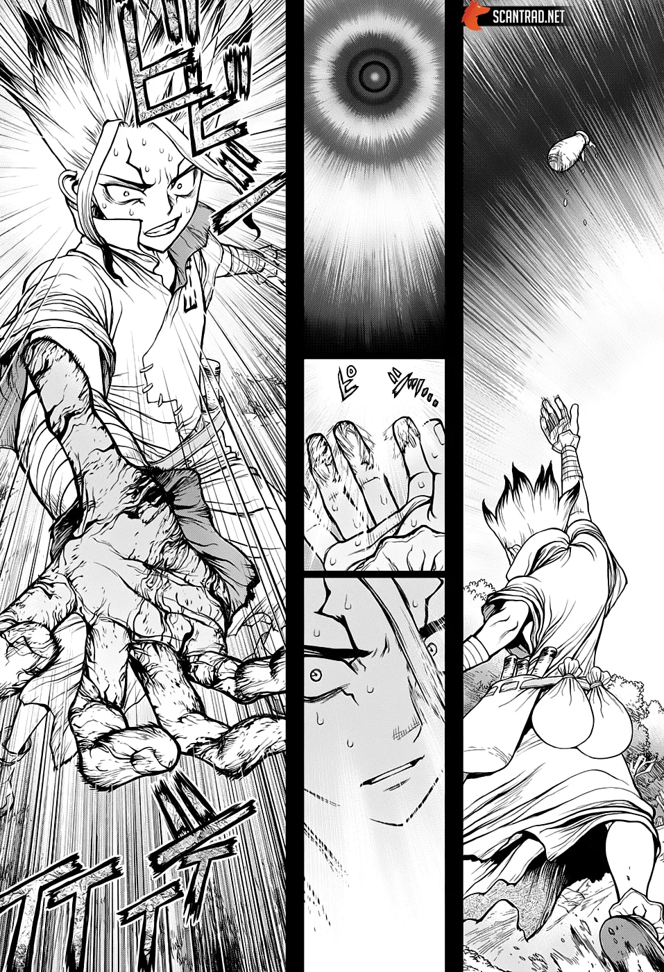 Read Dr. STONE FRANCAIS Manga Online