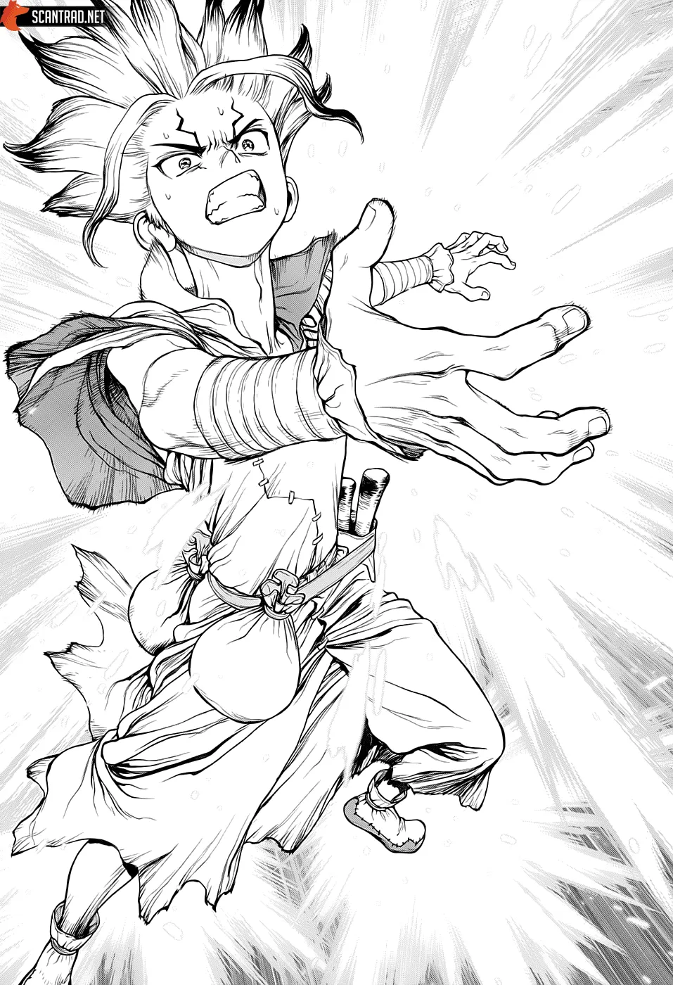 Read Dr. STONE FRANCAIS Manga Online