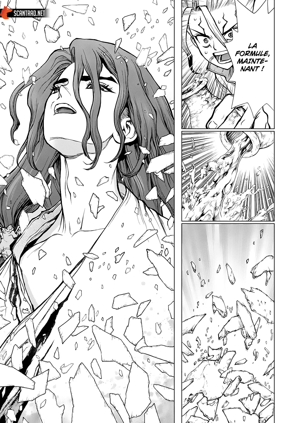 Read Dr. STONE FRANCAIS Manga Online