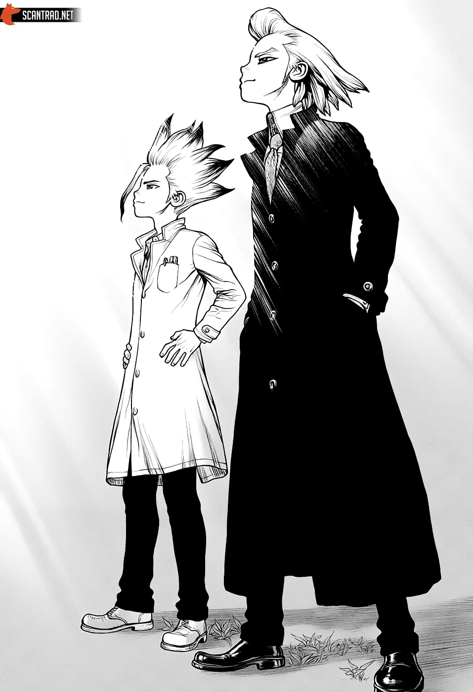 Read Dr. STONE FRANCAIS Manga Online