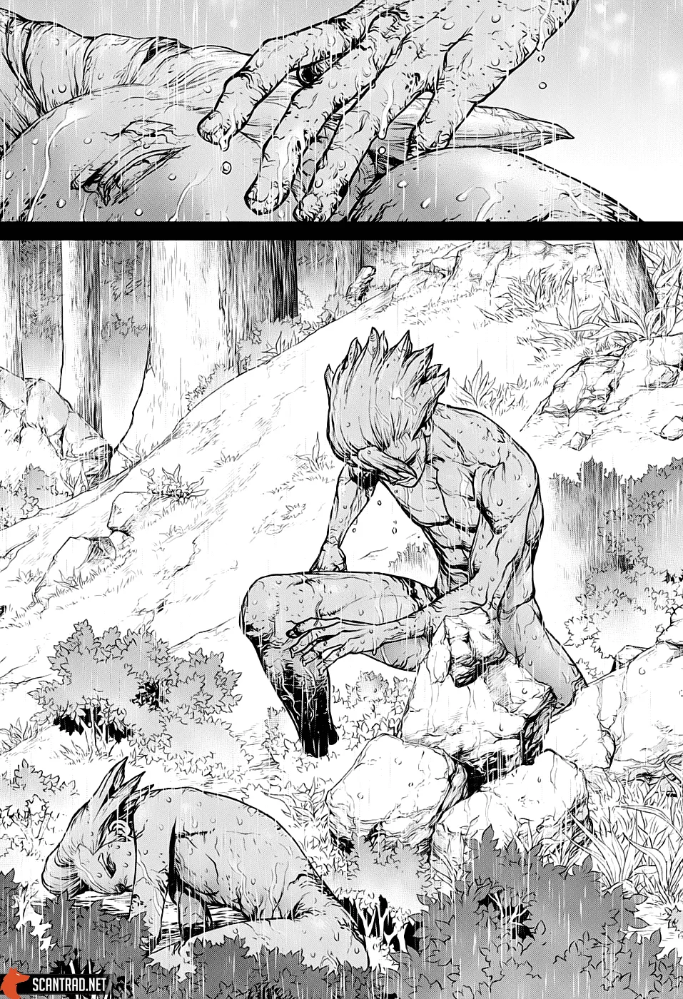 Read Dr. STONE FRANCAIS Manga Online