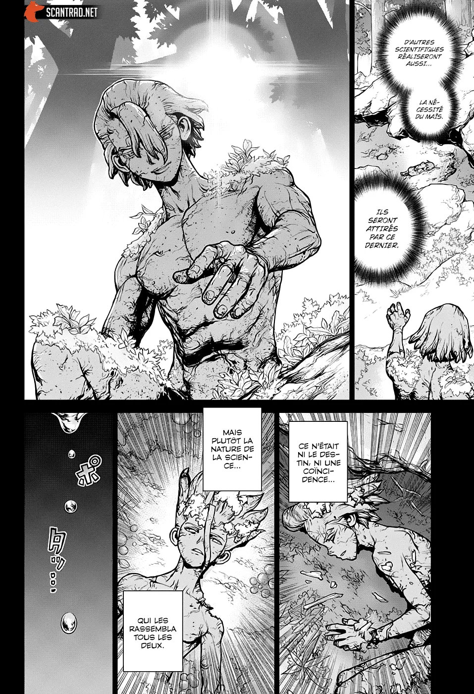 Read Dr. STONE FRANCAIS Manga Online
