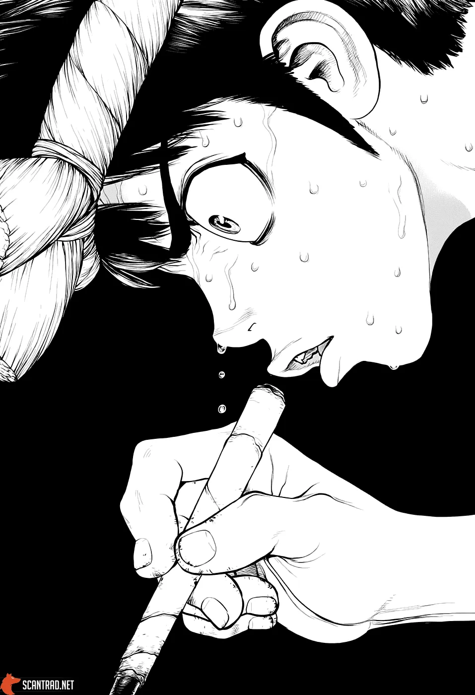 Read Dr. STONE FRANCAIS Manga Online