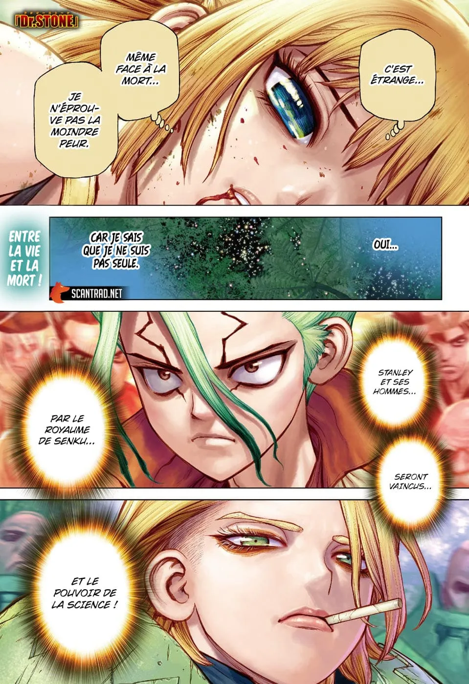 Read Dr. STONE FRANCAIS Manga Online