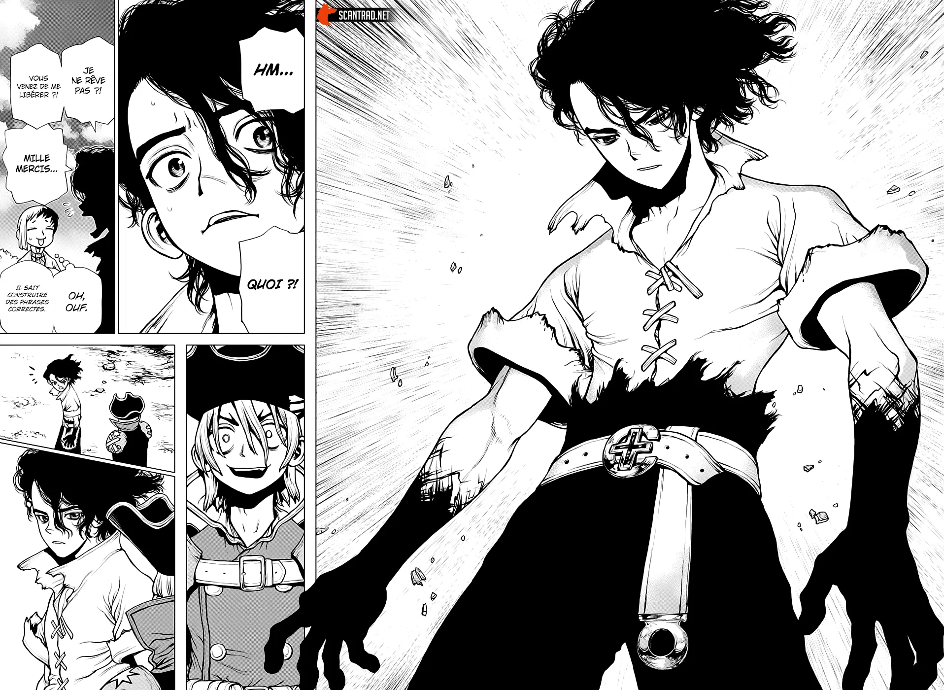 Read Dr. STONE FRANCAIS Manga Online