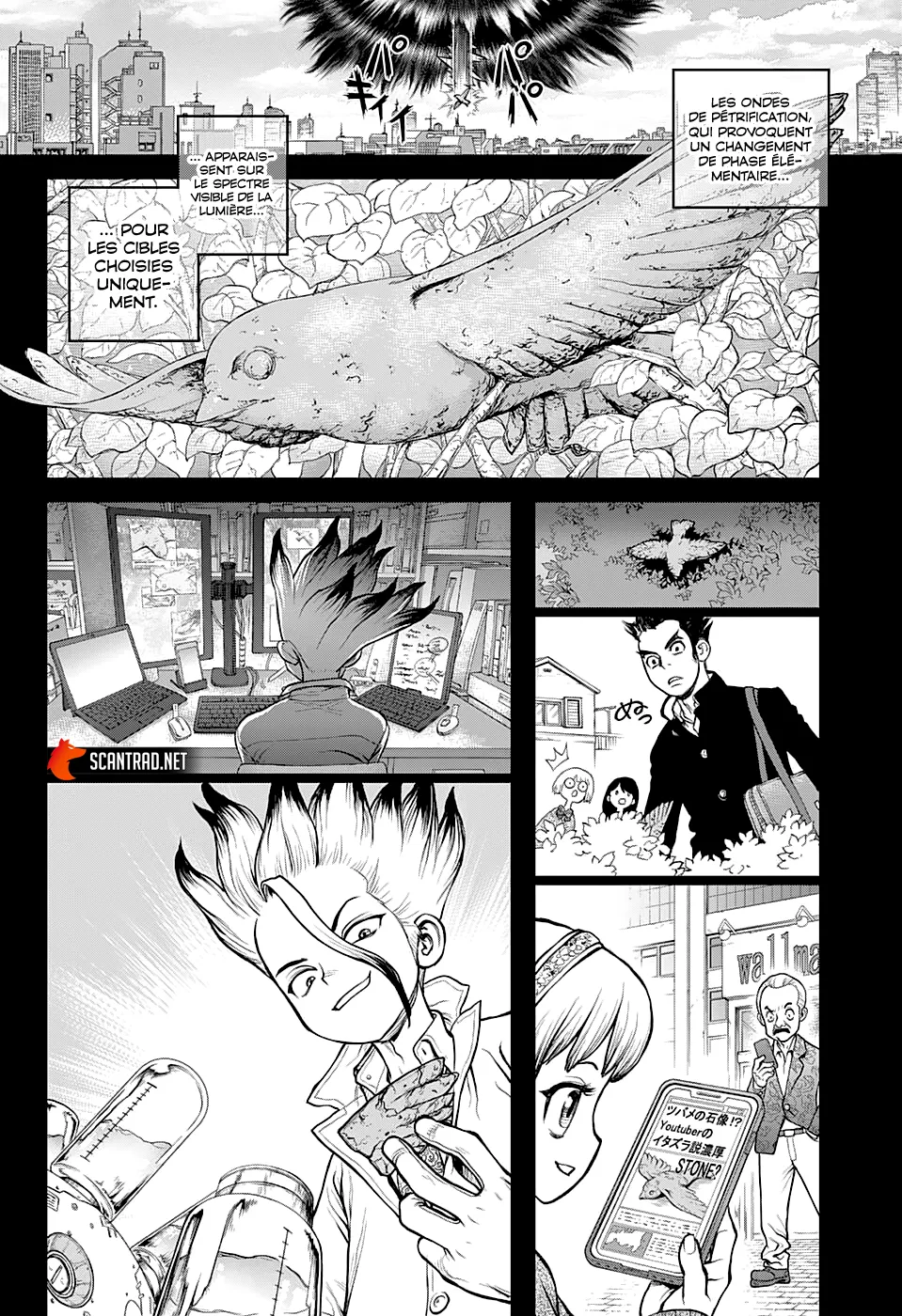 Read Dr. STONE FRANCAIS Manga Online