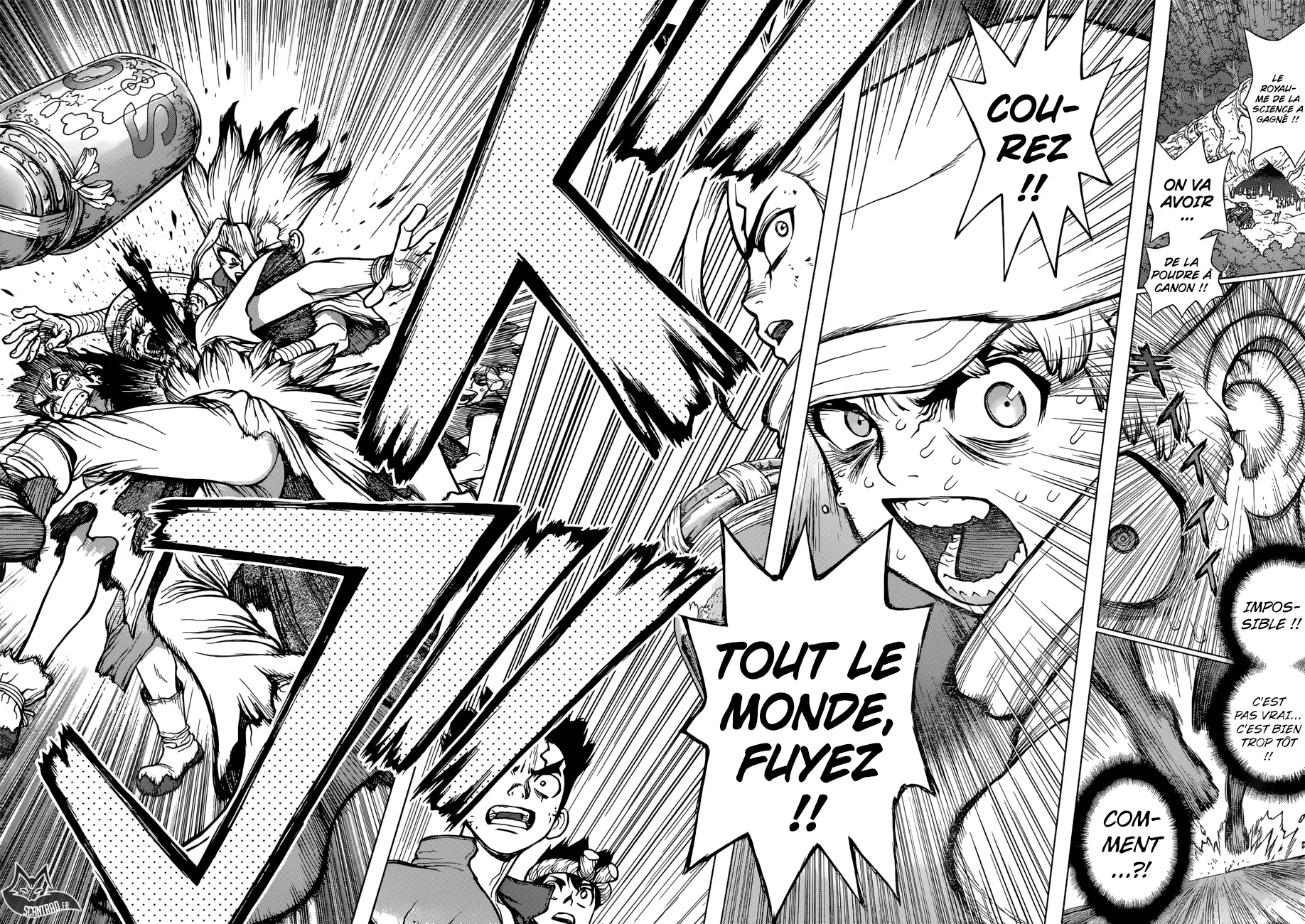 Read Dr. STONE FRANCAIS Manga Online