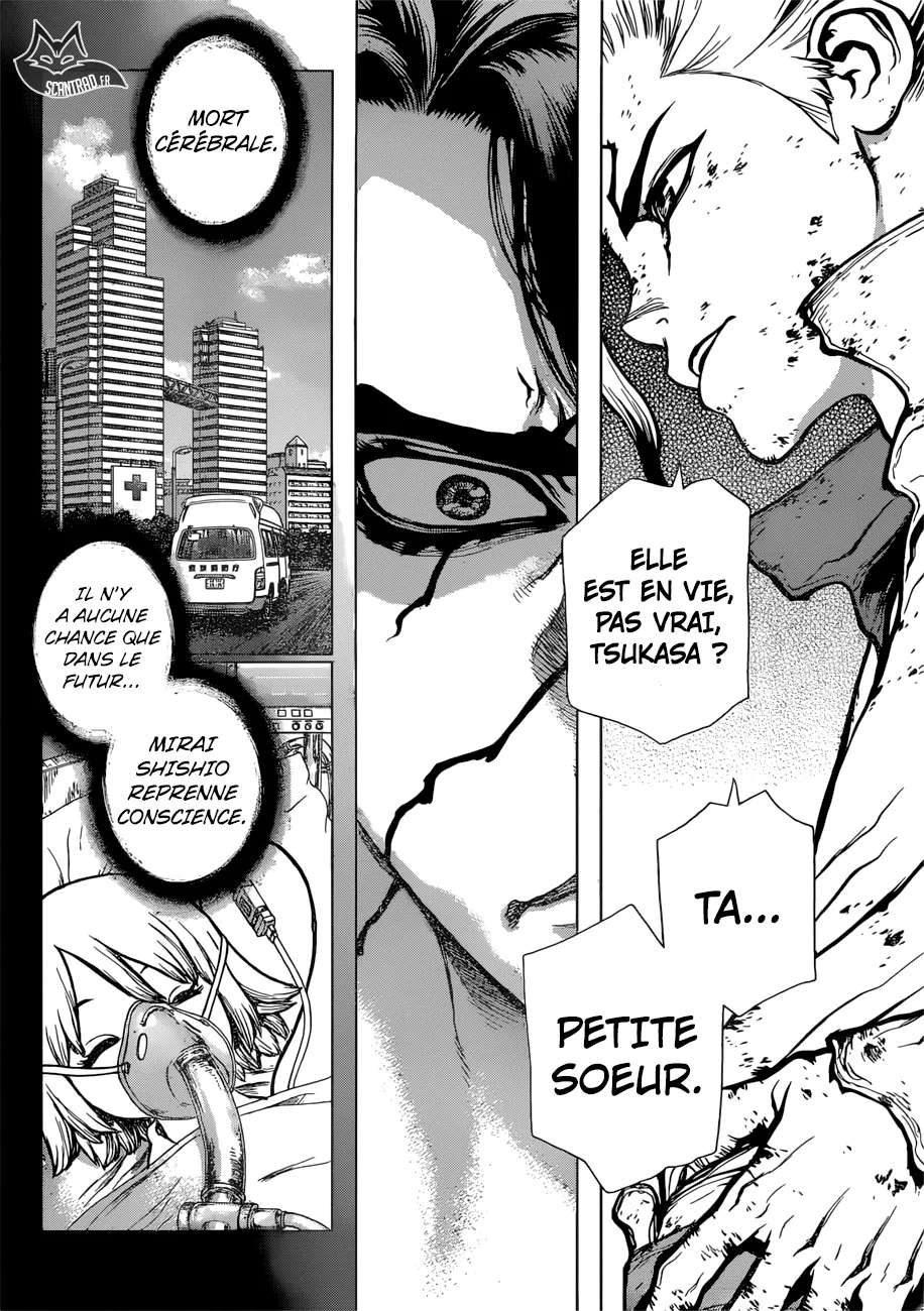 Read Dr. STONE FRANCAIS Manga Online