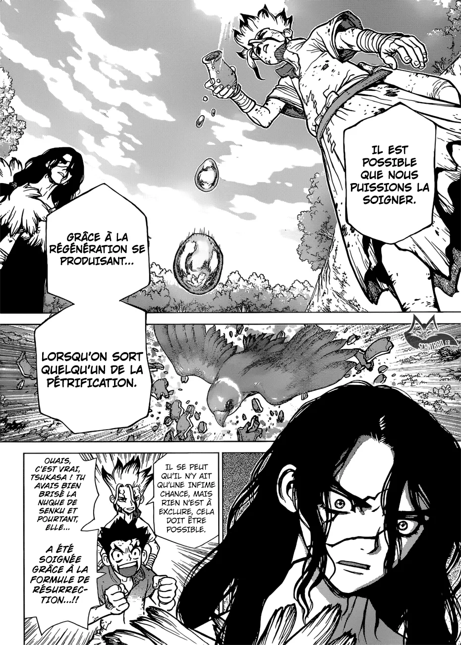 Read Dr. STONE FRANCAIS Manga Online