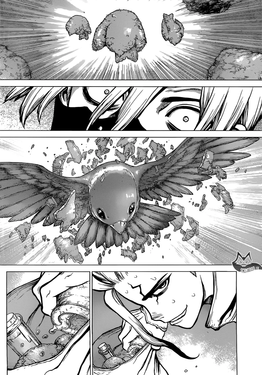 Read Dr. STONE FRANCAIS Manga Online