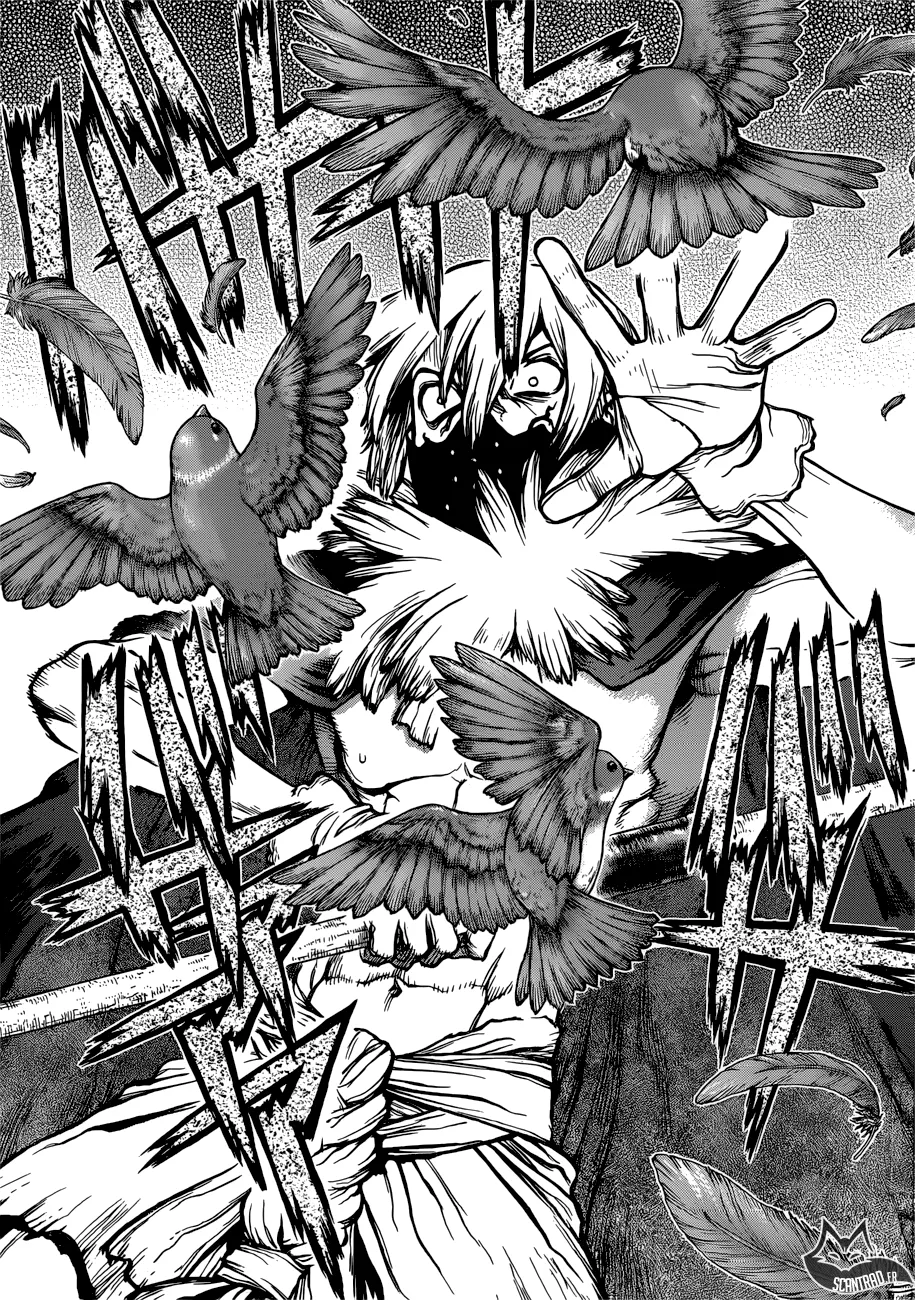 Read Dr. STONE FRANCAIS Manga Online