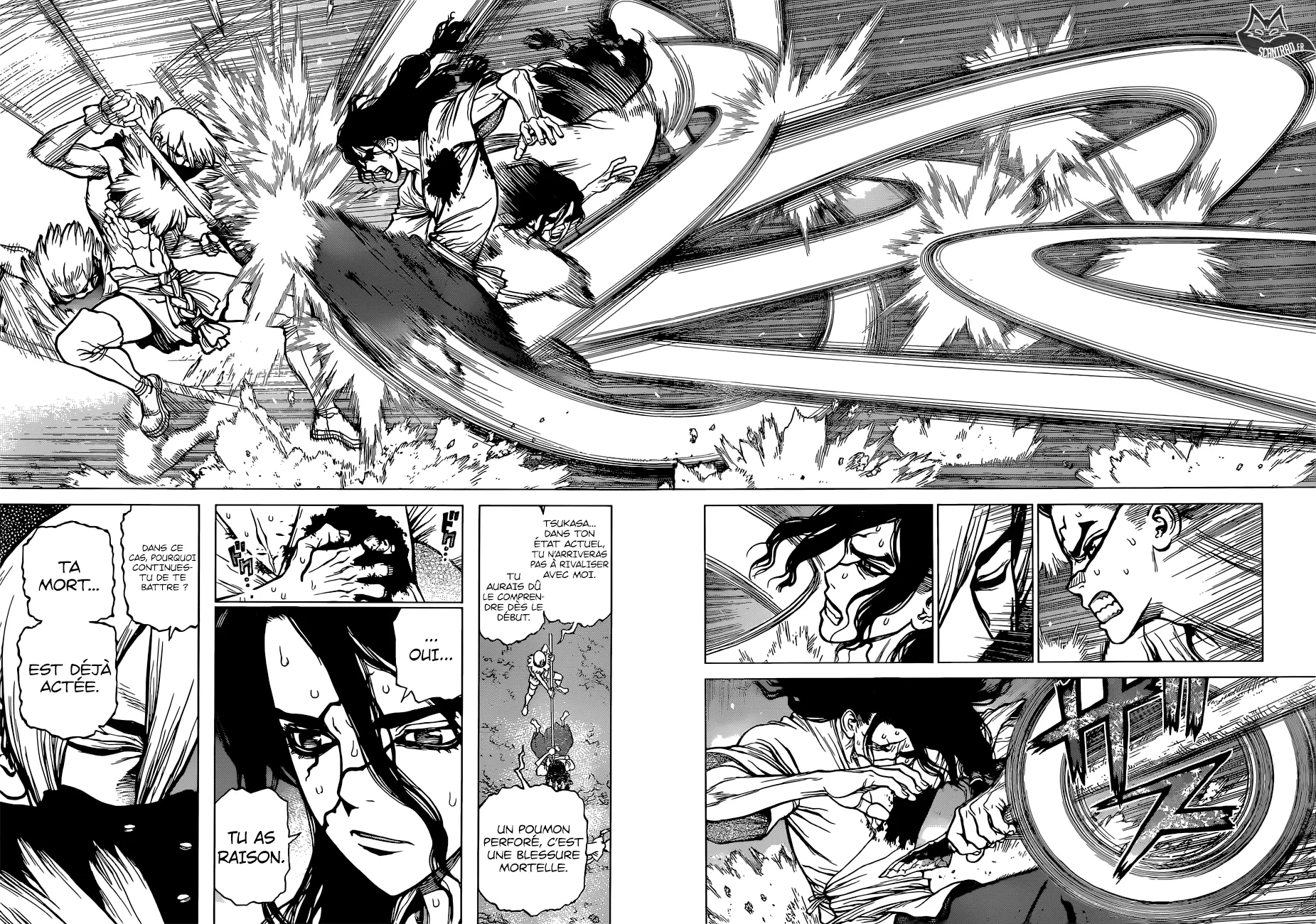 Read Dr. STONE FRANCAIS Manga Online