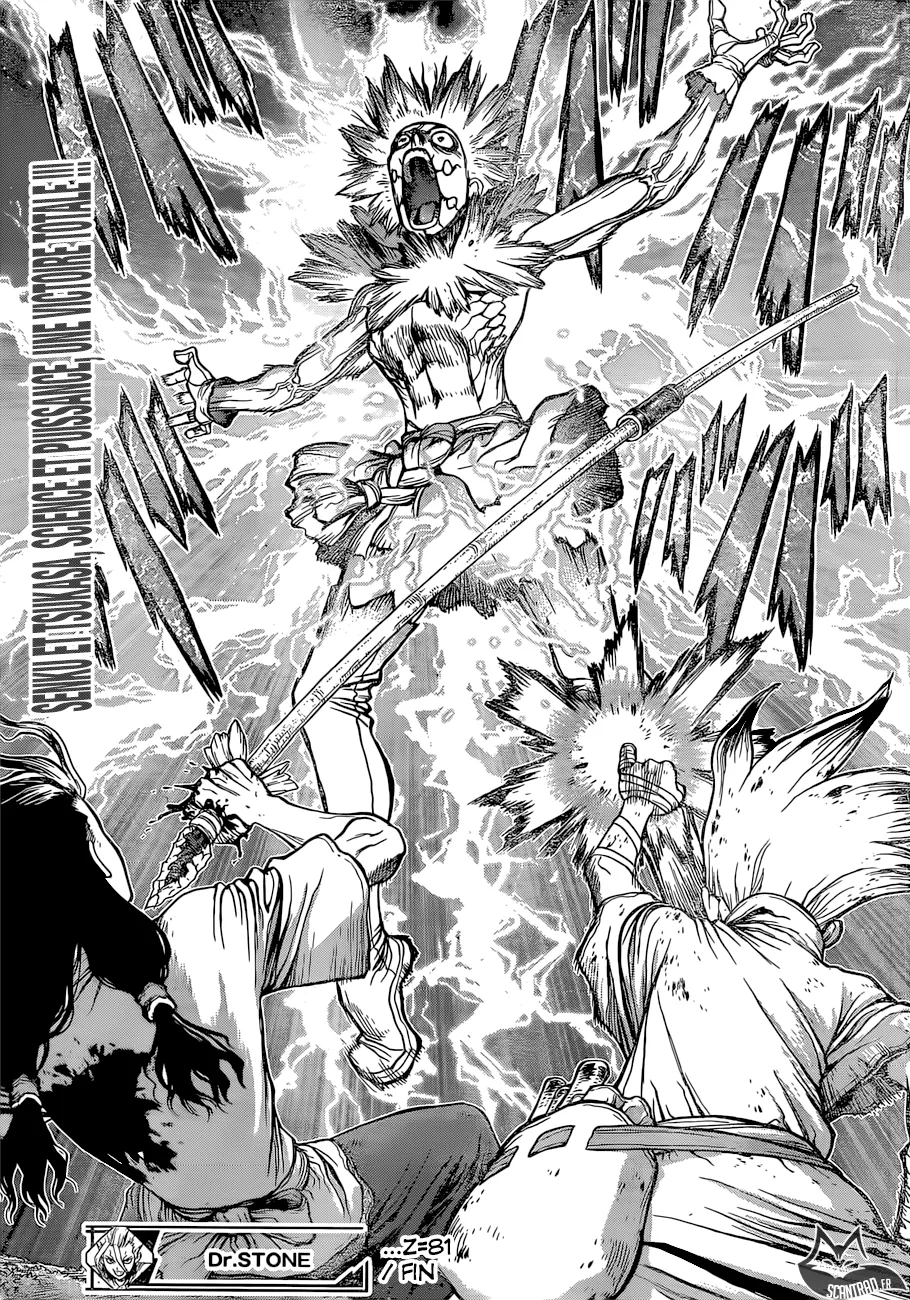 Read Dr. STONE FRANCAIS Manga Online