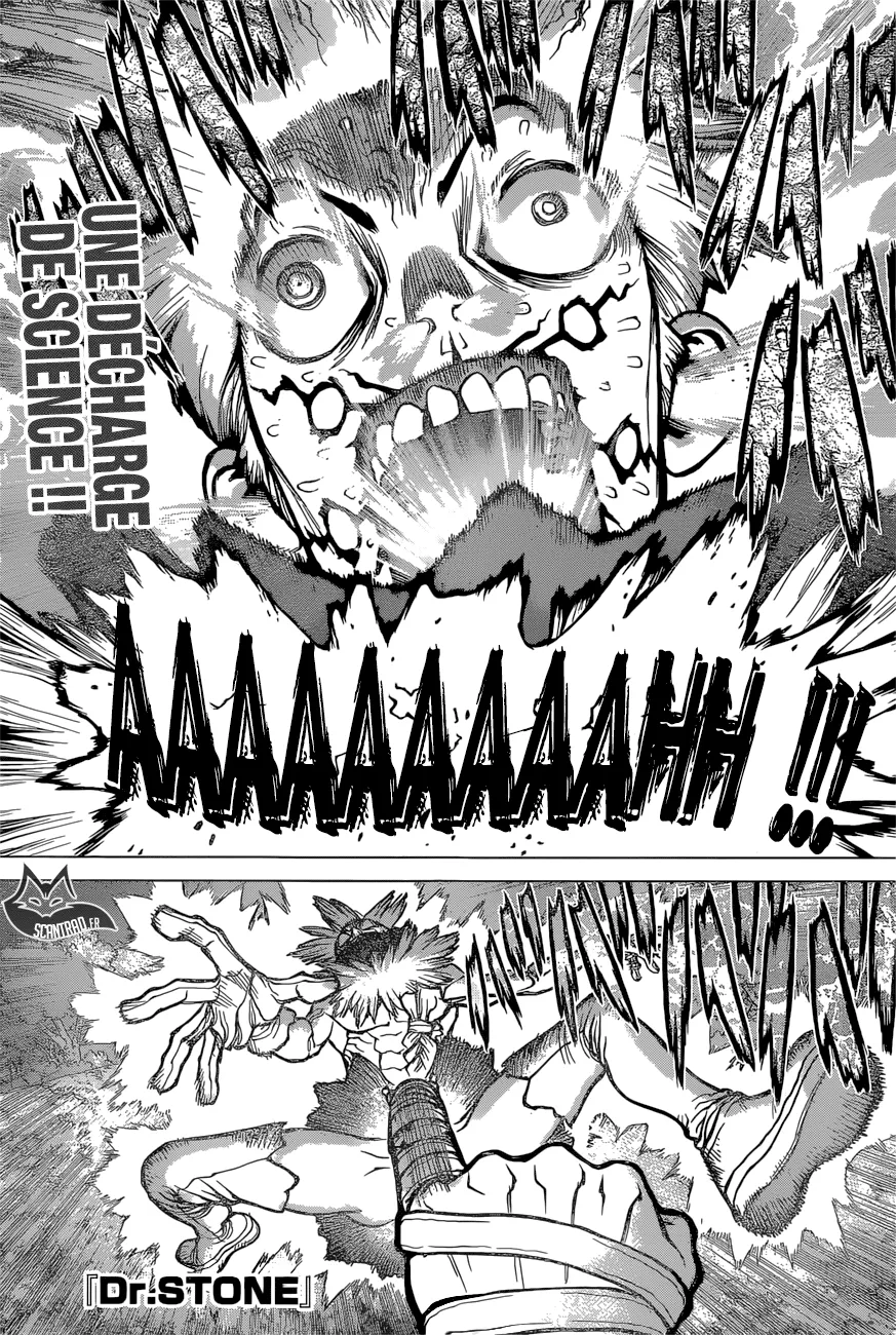 Read Dr. STONE FRANCAIS Manga Online