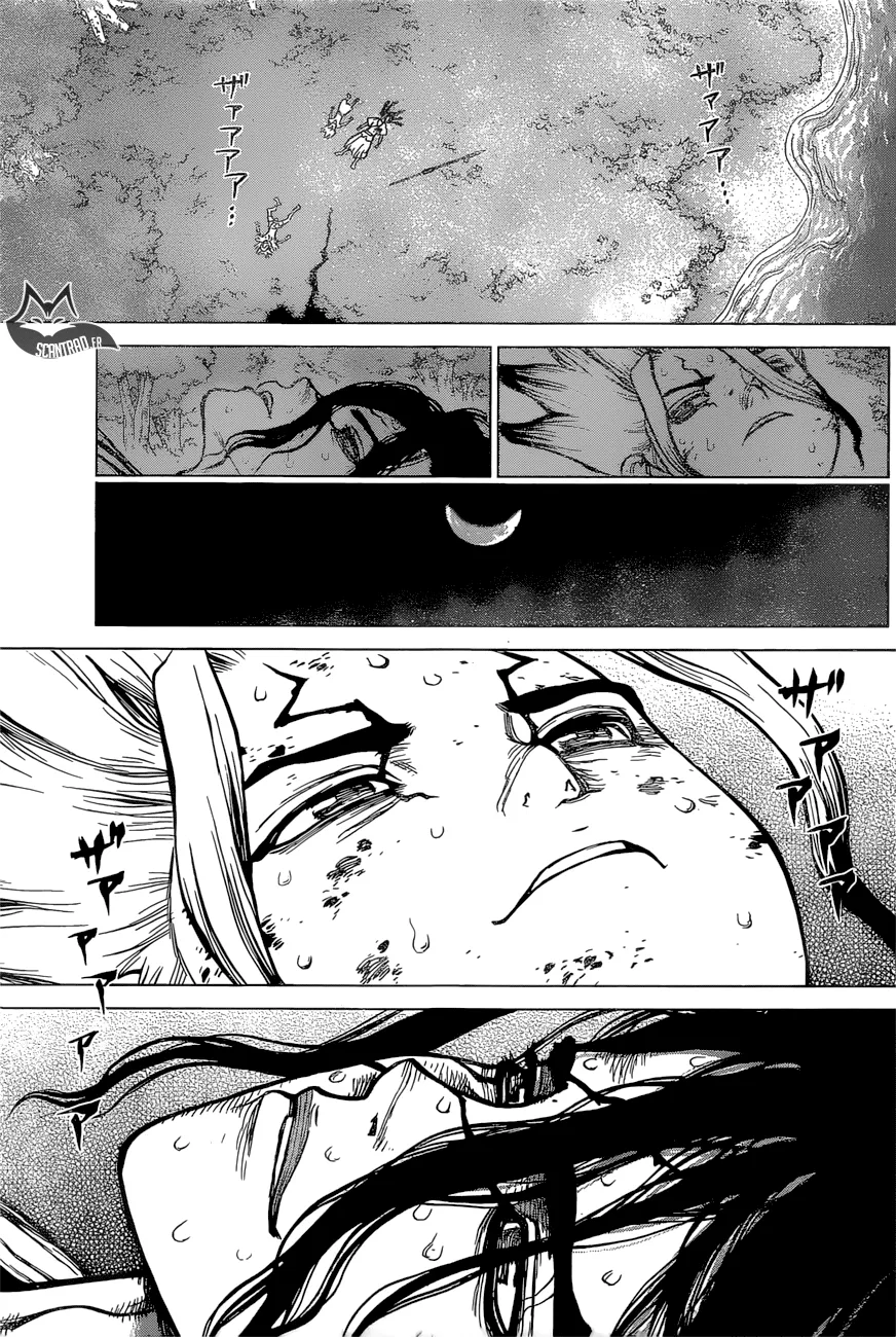 Read Dr. STONE FRANCAIS Manga Online