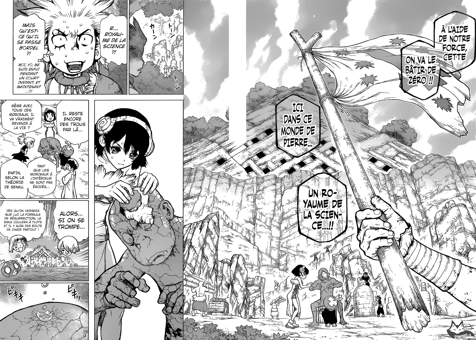 Read Dr. STONE FRANCAIS Manga Online