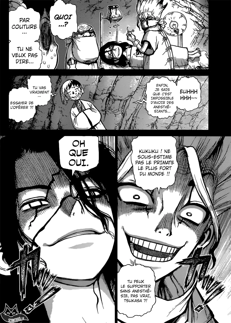 Read Dr. STONE FRANCAIS Manga Online