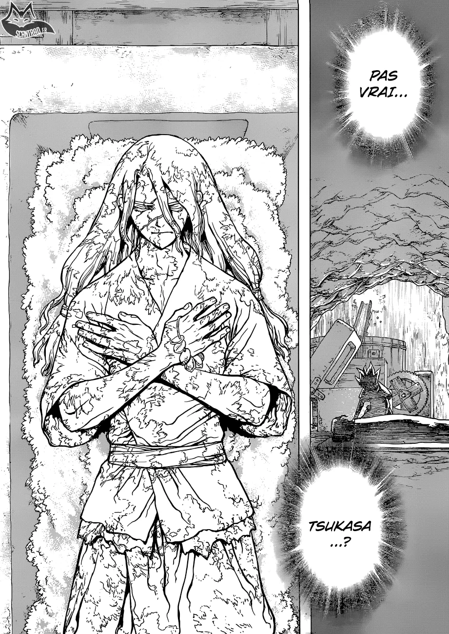 Read Dr. STONE FRANCAIS Manga Online