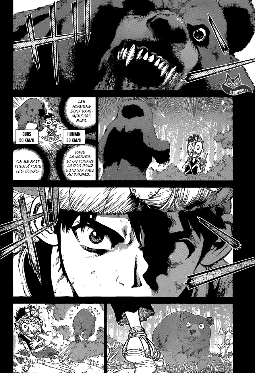 Read Dr. STONE FRANCAIS Manga Online