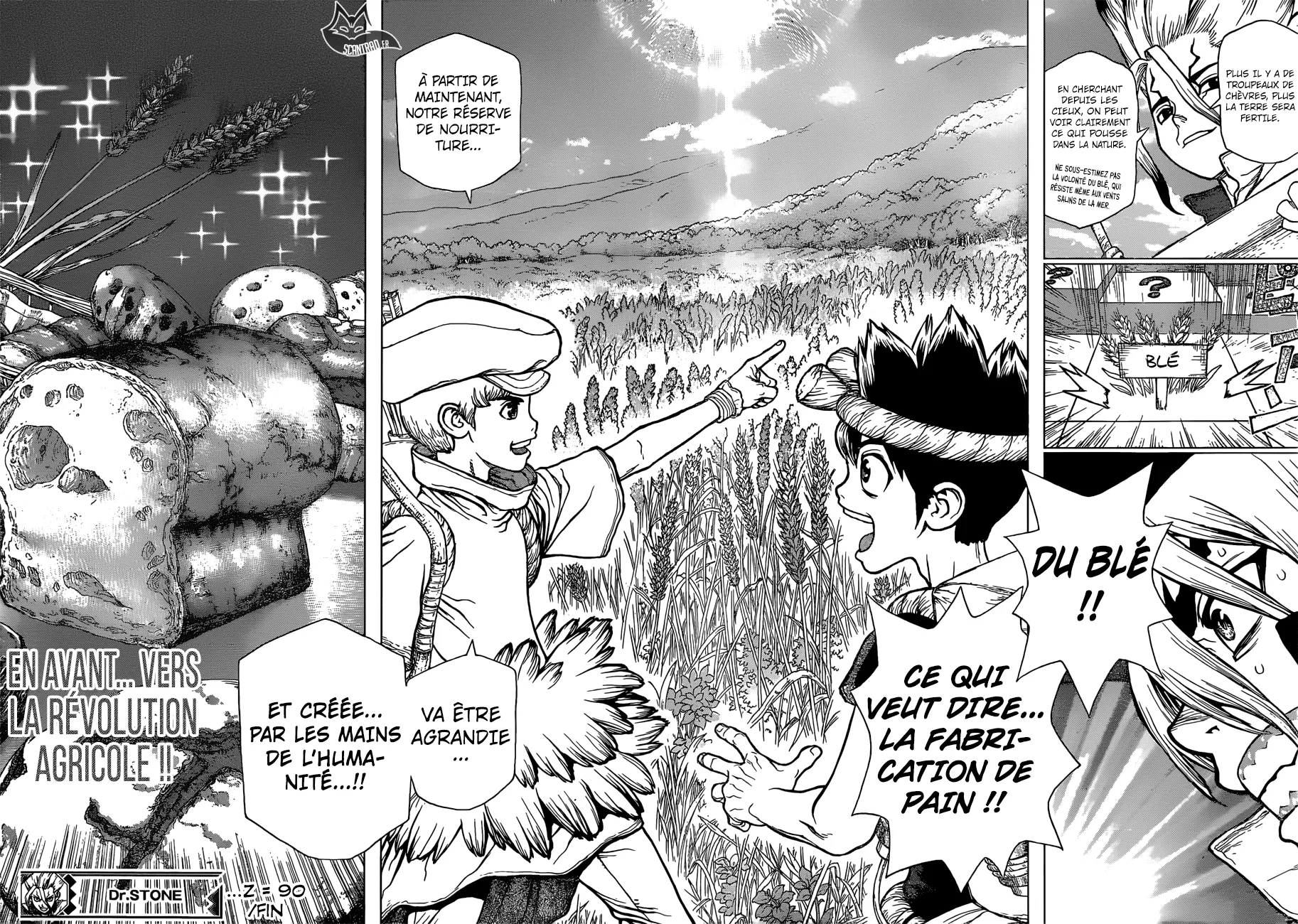 Read Dr. STONE FRANCAIS Manga Online