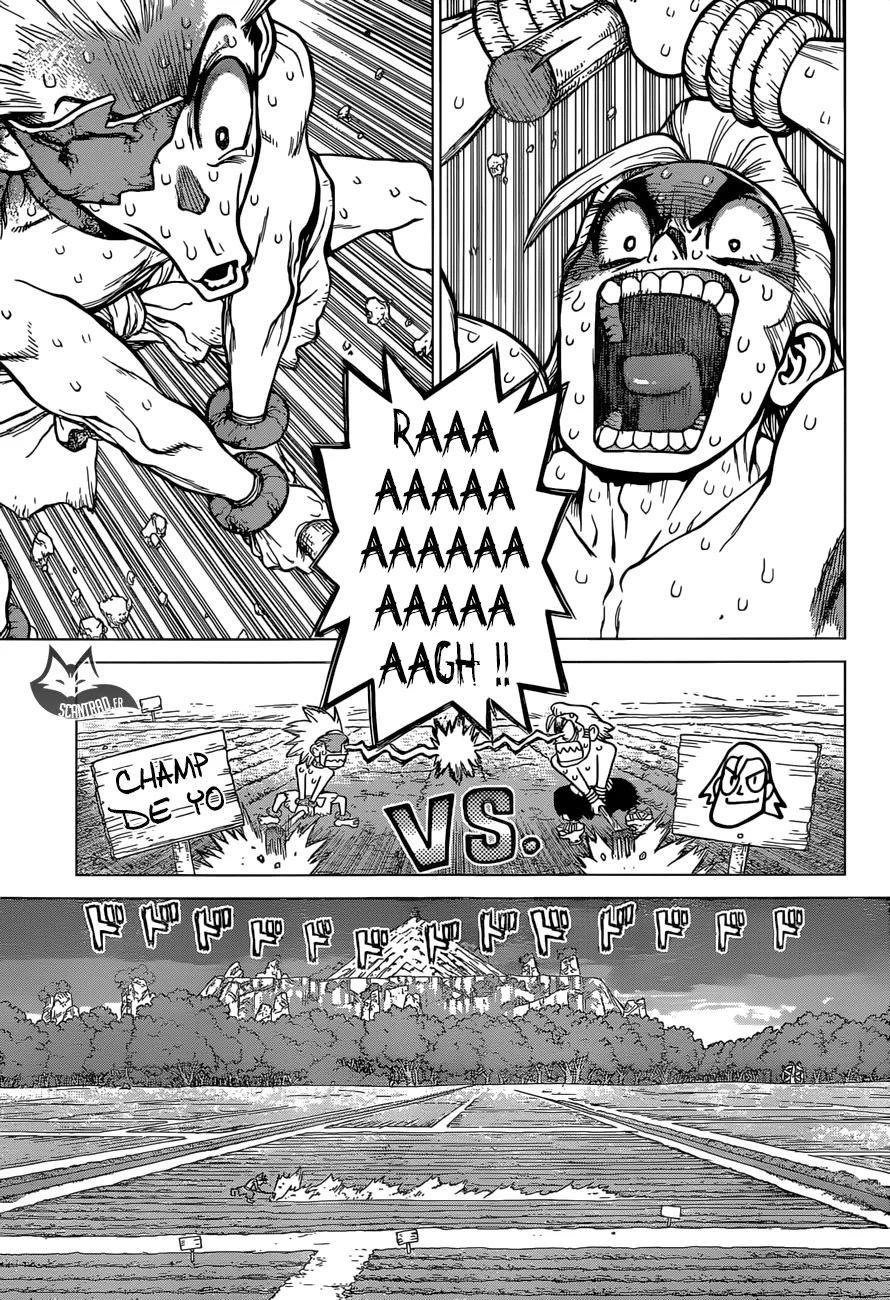 Read Dr. STONE FRANCAIS Manga Online