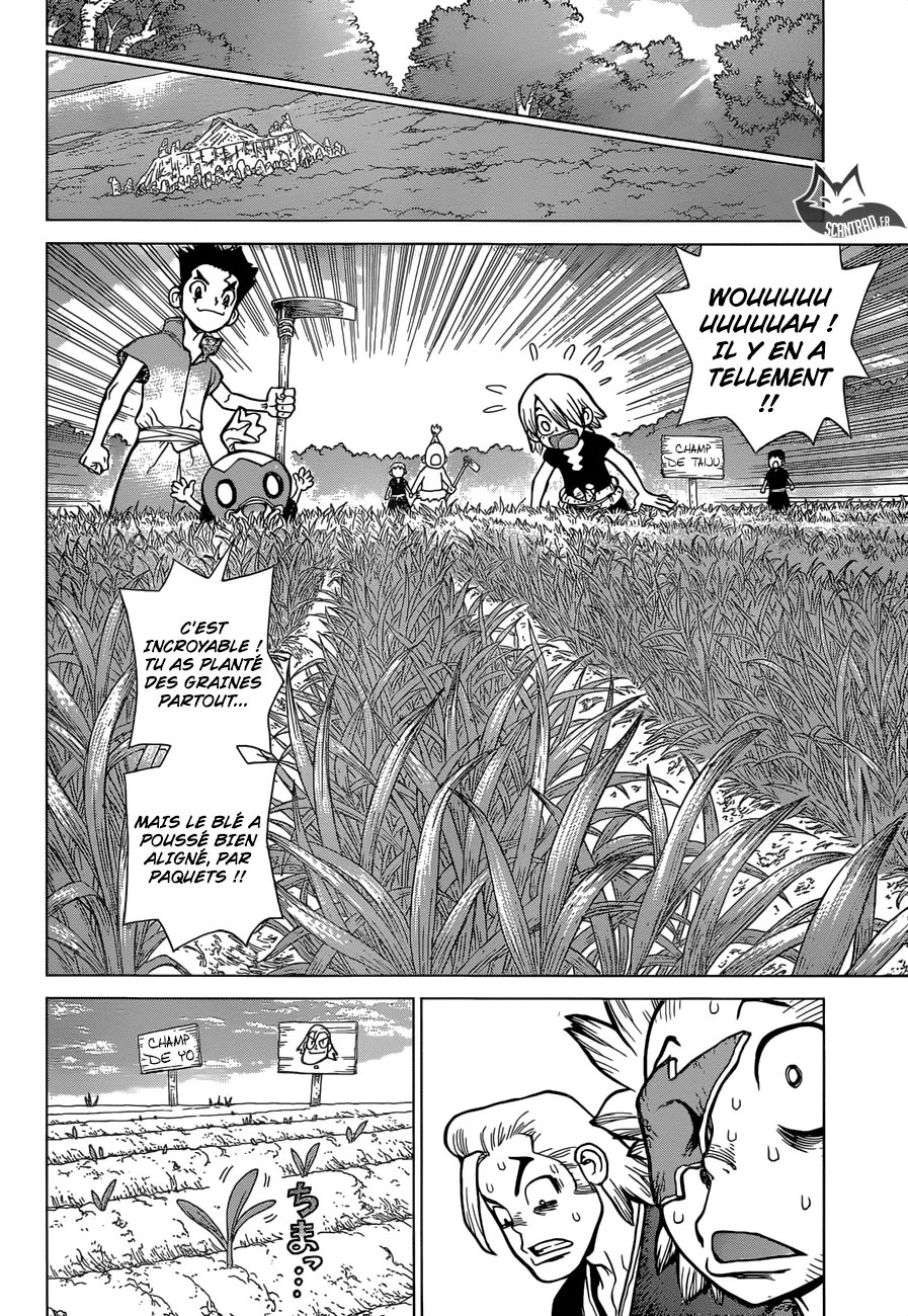 Read Dr. STONE FRANCAIS Manga Online