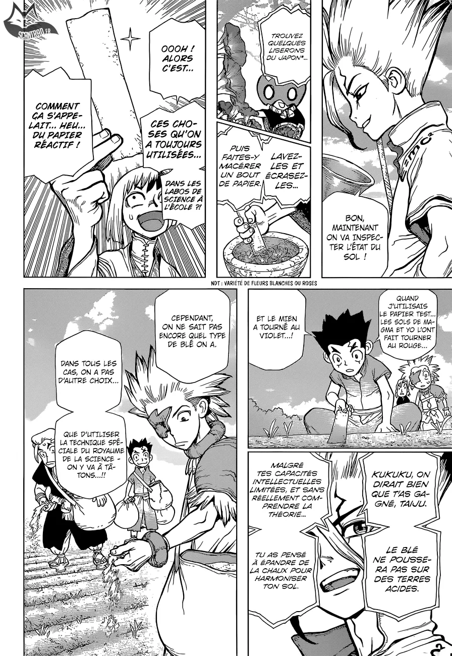 Read Dr. STONE FRANCAIS Manga Online