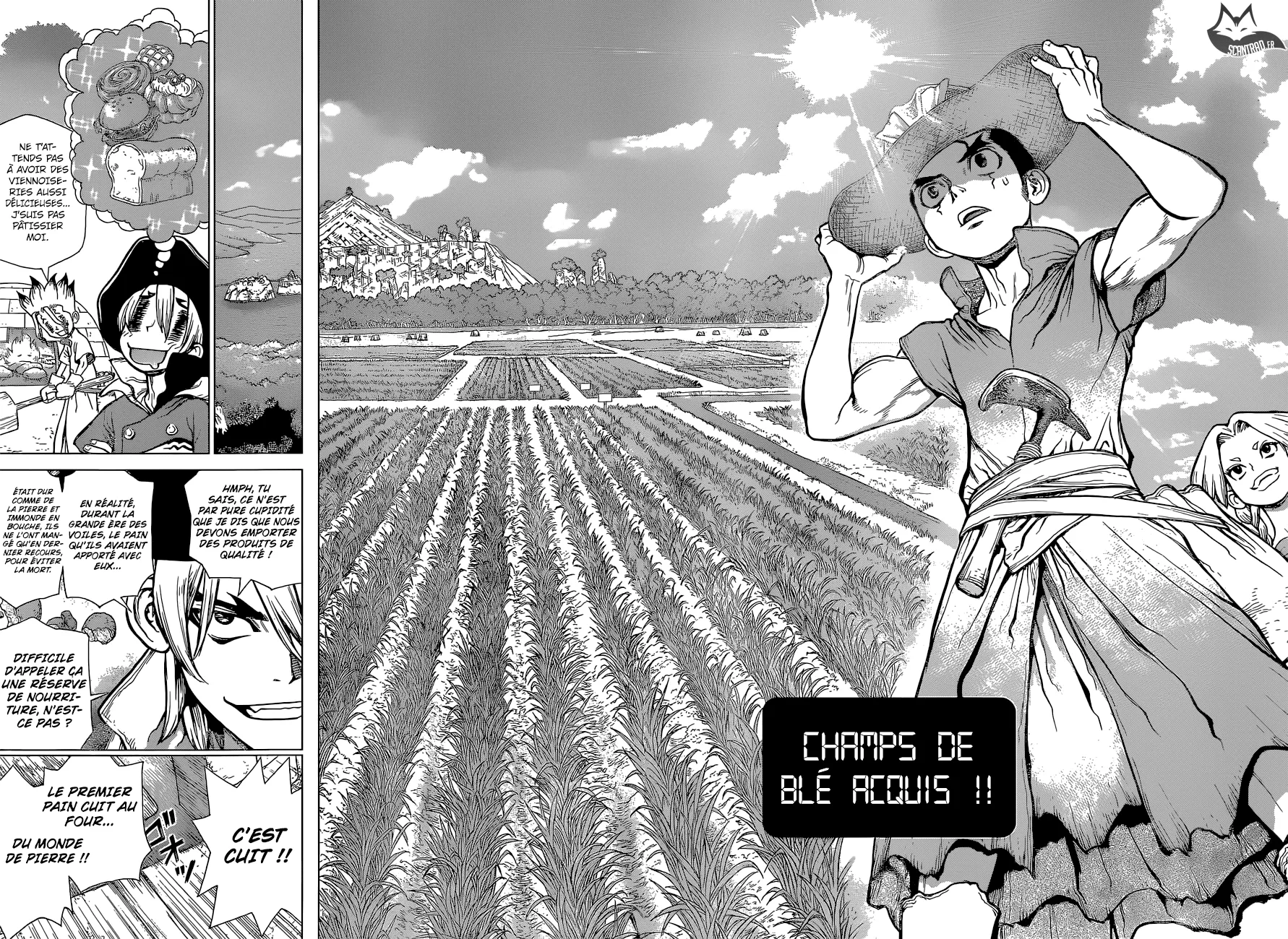 Read Dr. STONE FRANCAIS Manga Online