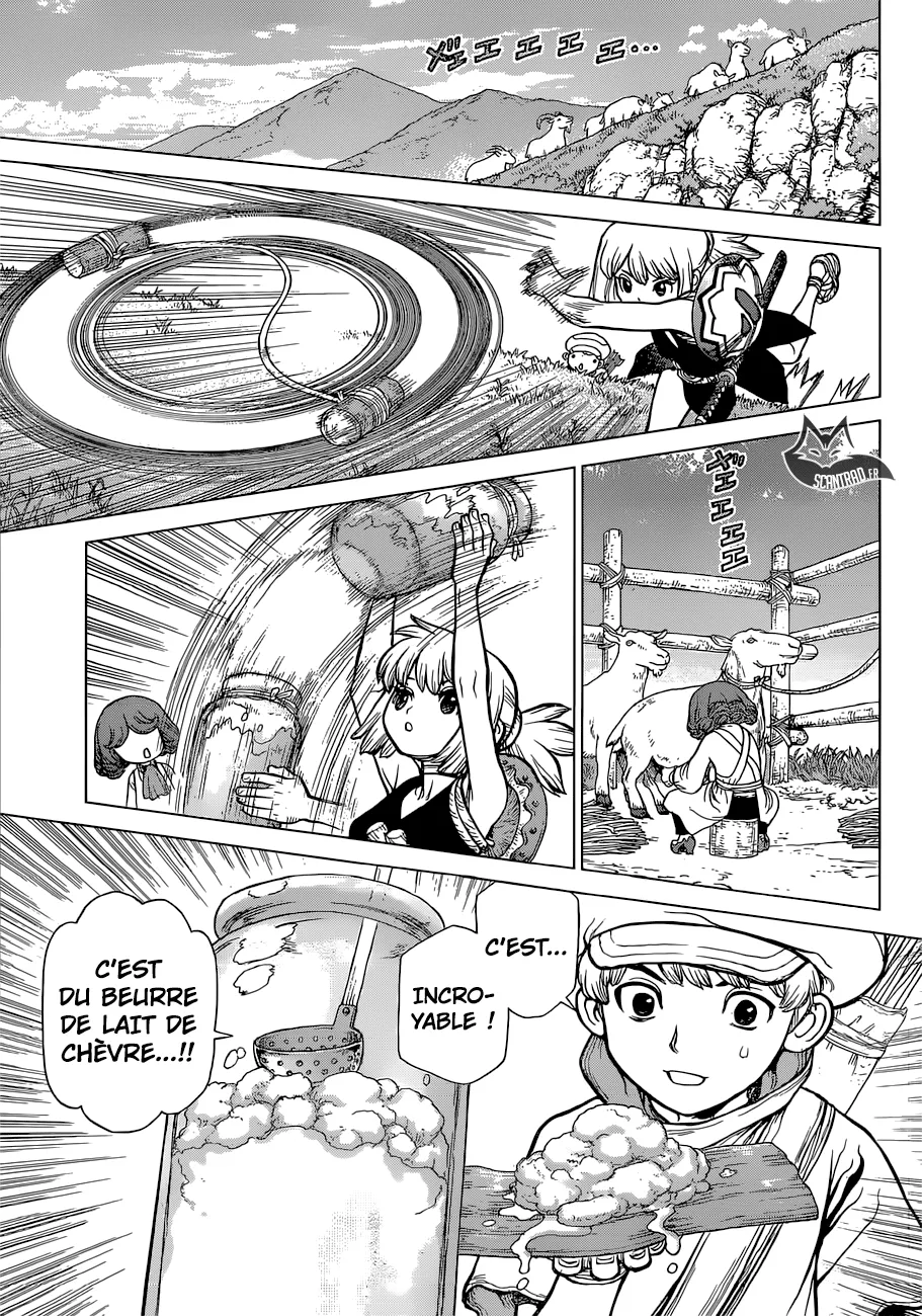 Read Dr. STONE FRANCAIS Manga Online