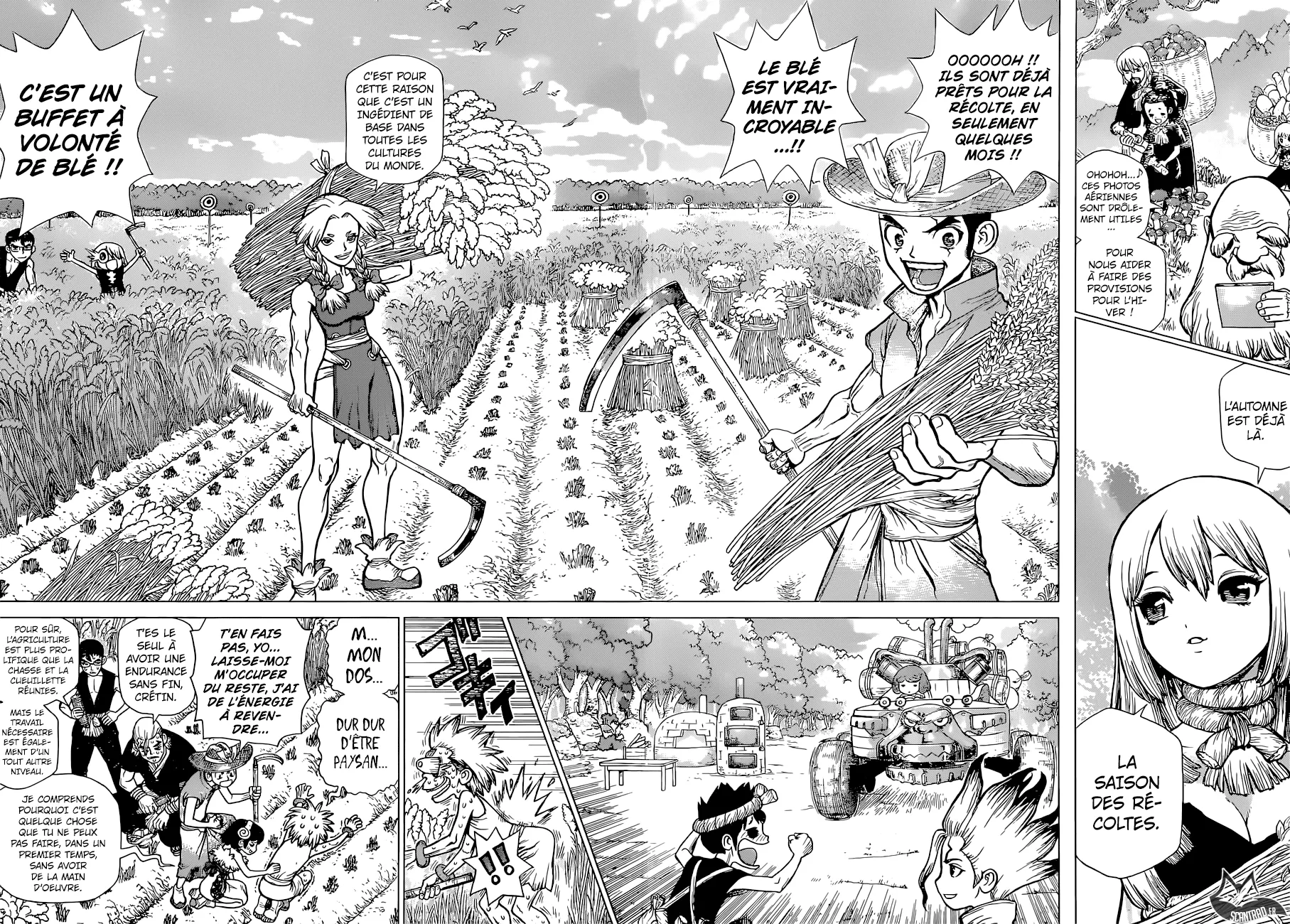 Read Dr. STONE FRANCAIS Manga Online