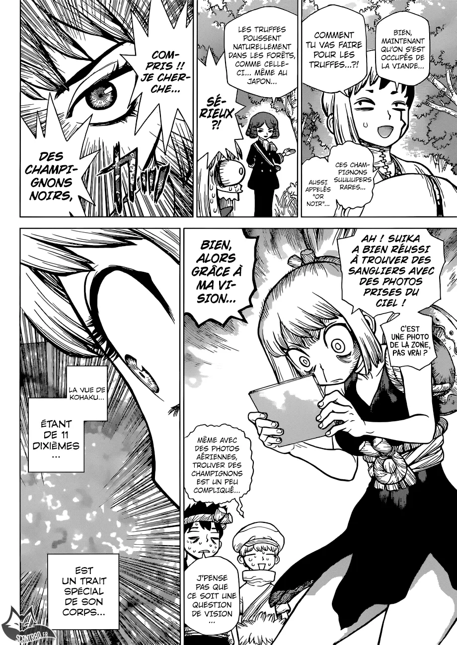 Read Dr. STONE FRANCAIS Manga Online