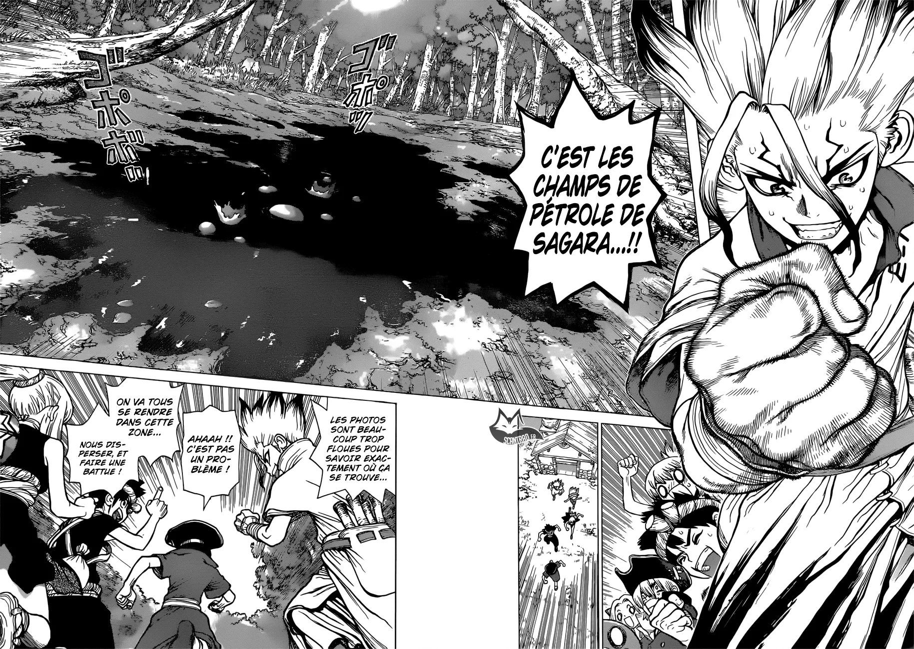 Read Dr. STONE FRANCAIS Manga Online