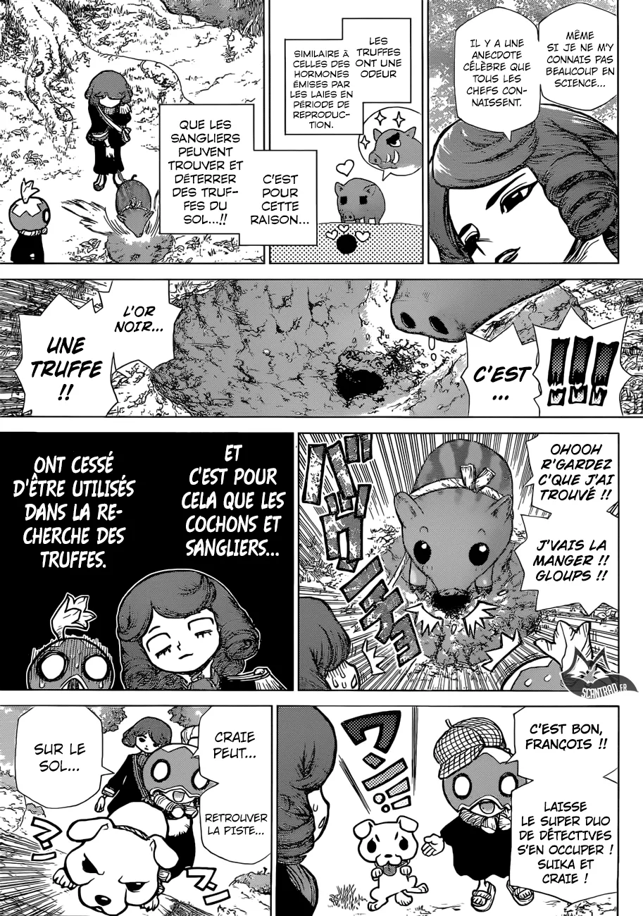 Read Dr. STONE FRANCAIS Manga Online