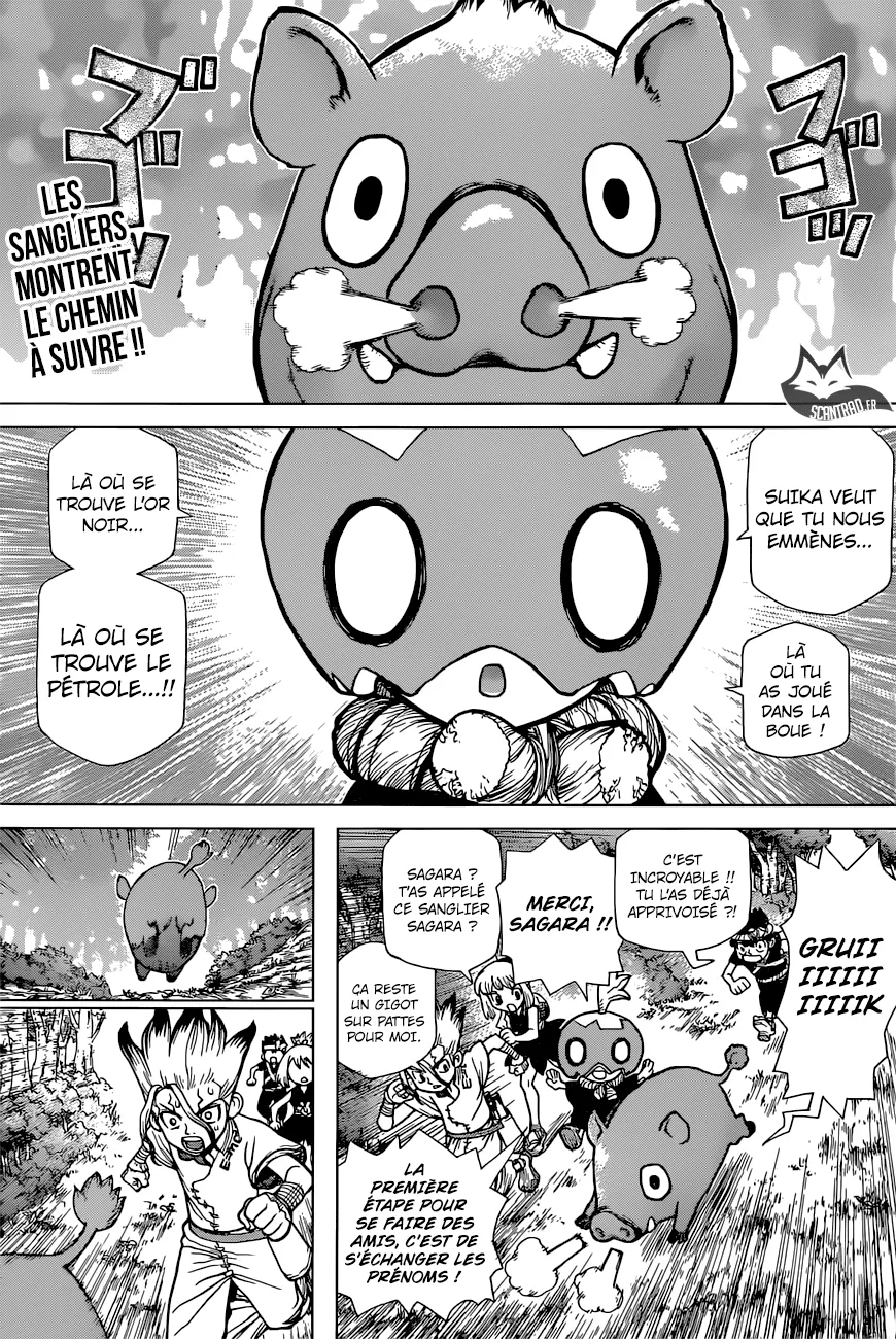Read Dr. STONE FRANCAIS Manga Online