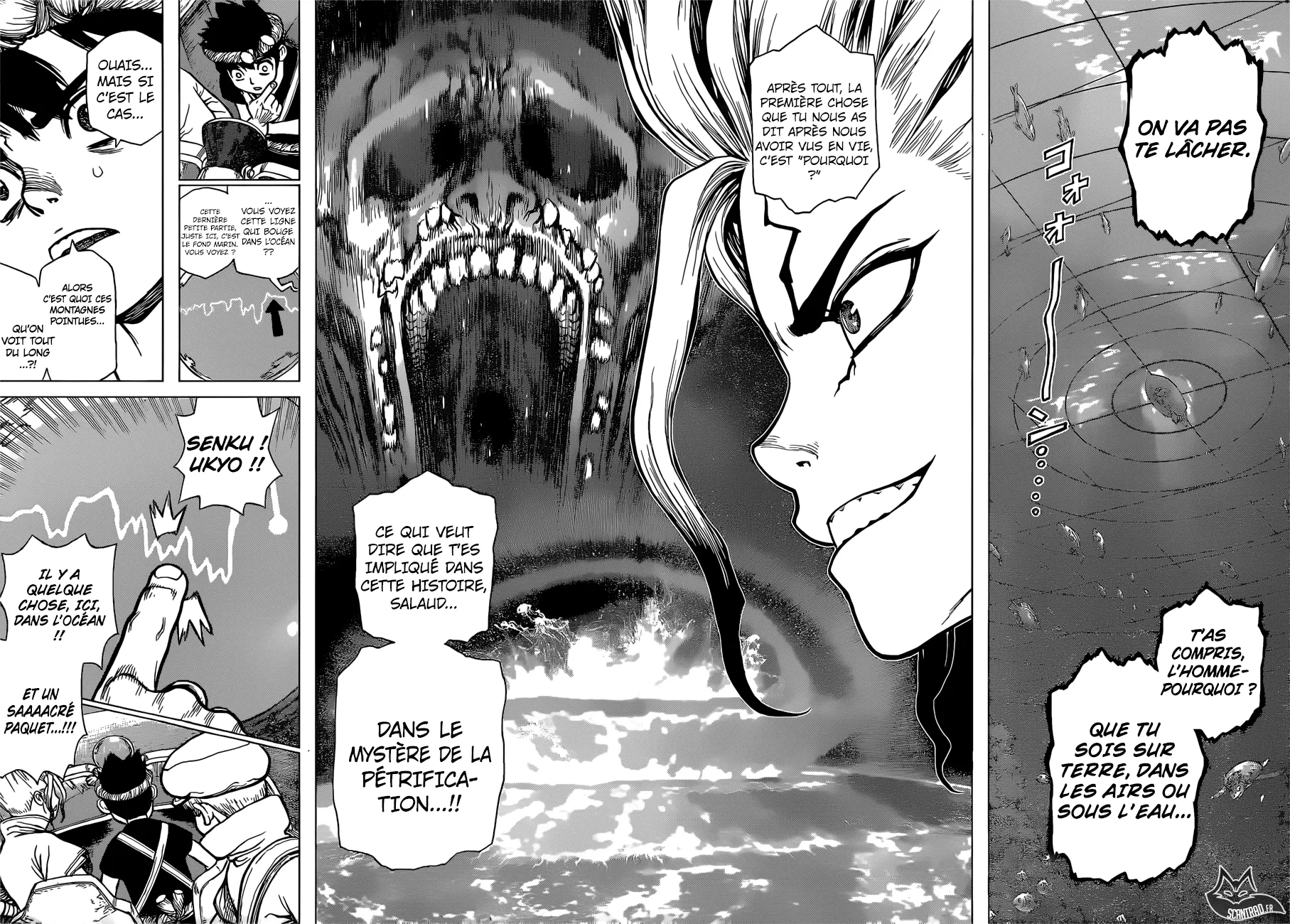 Read Dr. STONE FRANCAIS Manga Online