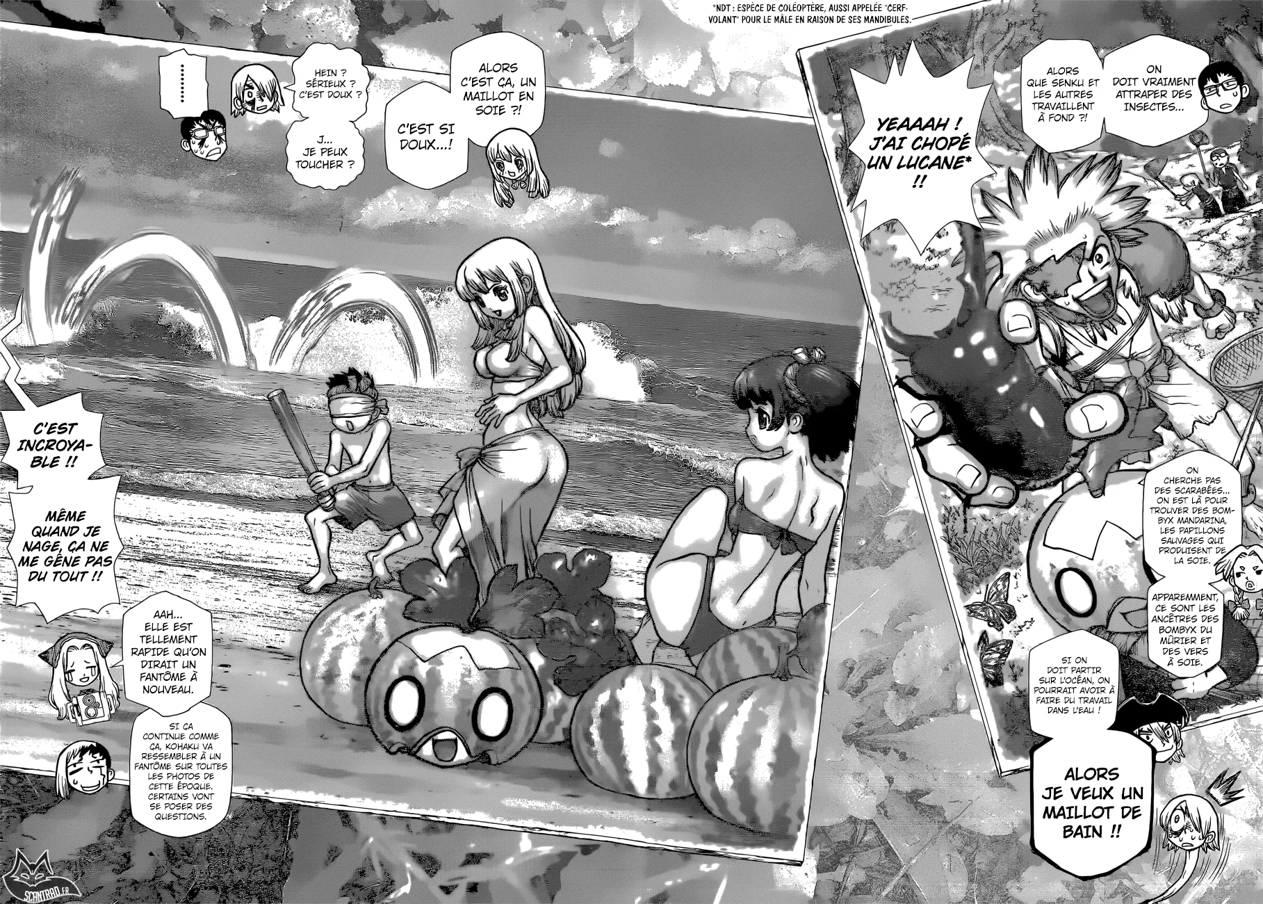 Read Dr. STONE FRANCAIS Manga Online