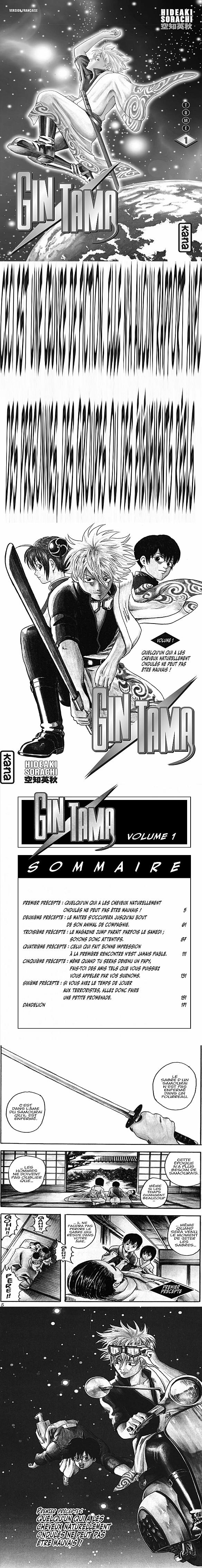 Read Gintama FRANCAIS Manga Online