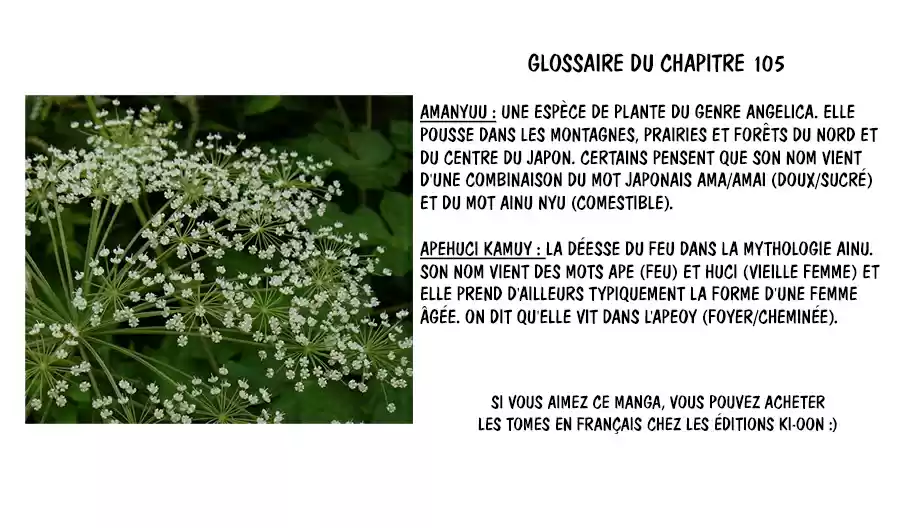 Read Golden Kamuy FRANCAIS Manga Online